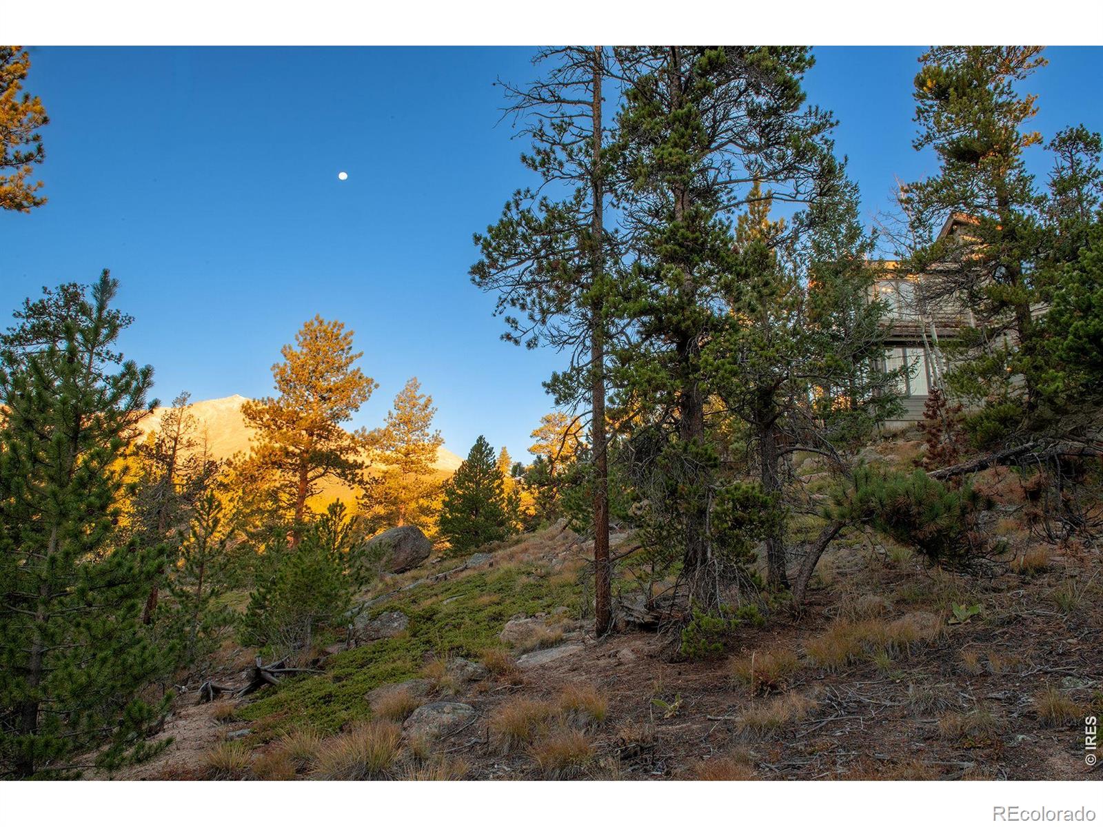 MLS Image #6 for 1997  big owl road,allenspark, Colorado