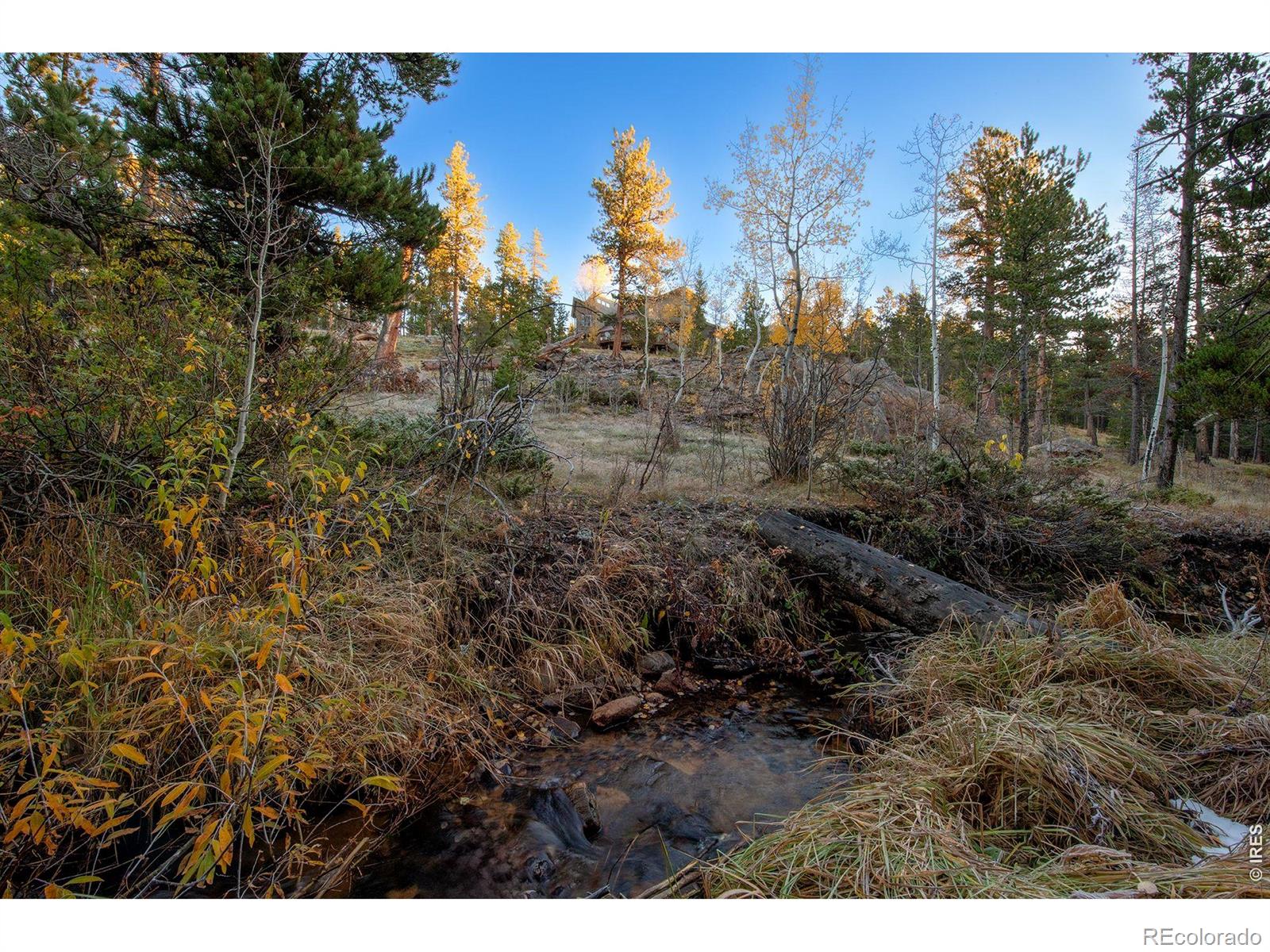 MLS Image #9 for 1997  big owl road,allenspark, Colorado