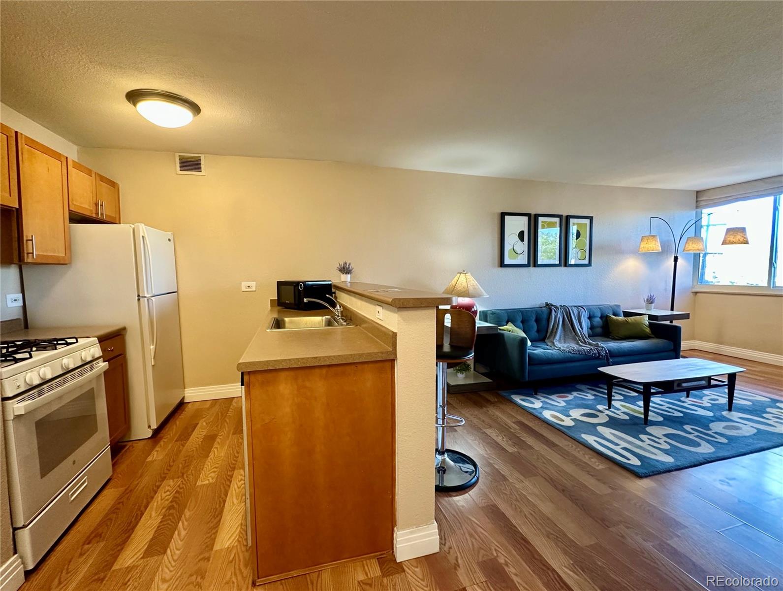MLS Image #2 for 1196 n grant street,denver, Colorado