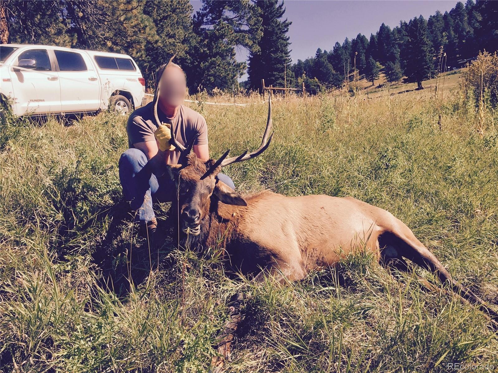MLS Image #27 for 12414 s us hwy 285 ,conifer, Colorado