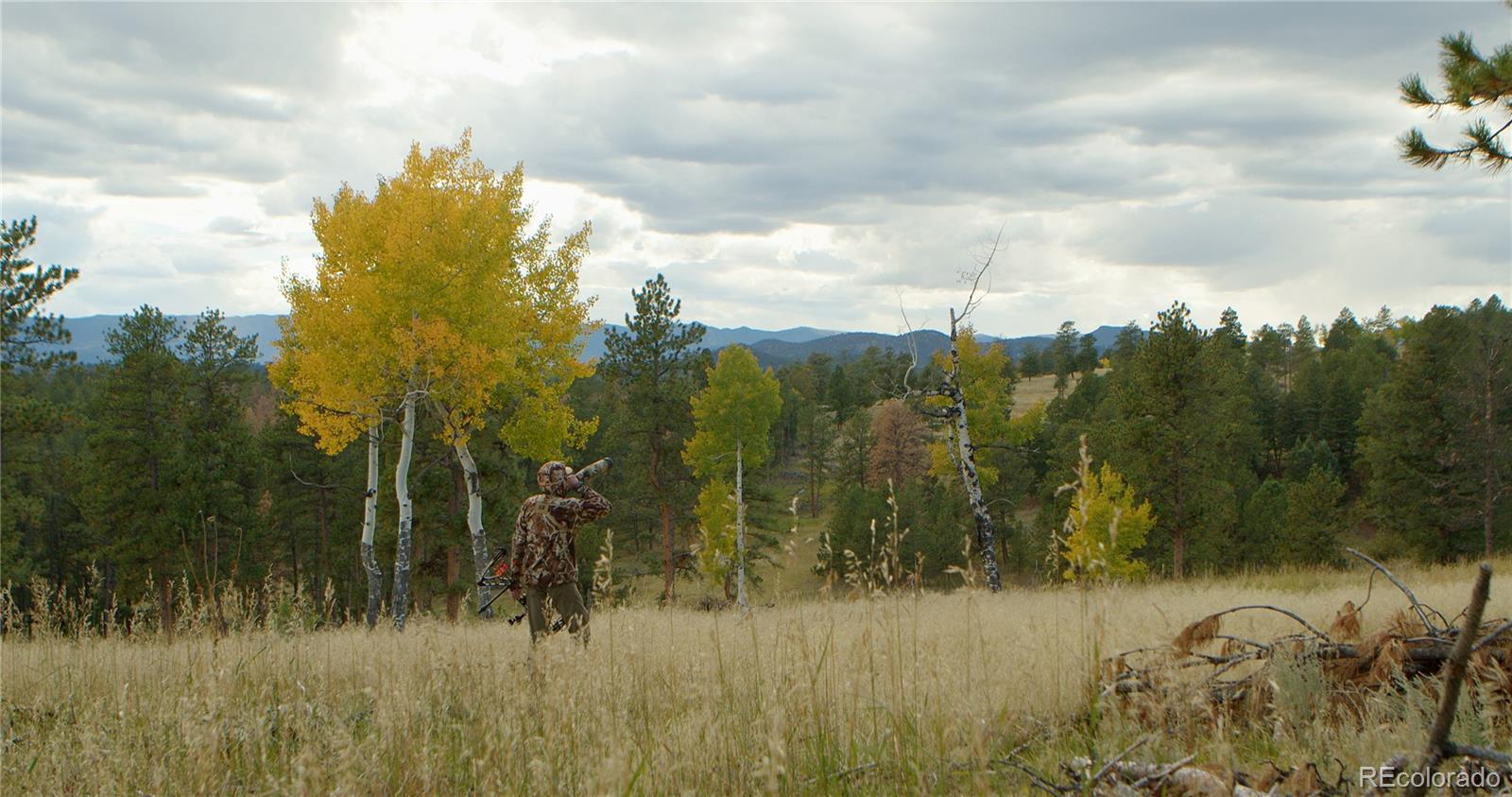 MLS Image #7 for 12414 s us hwy 285 ,conifer, Colorado