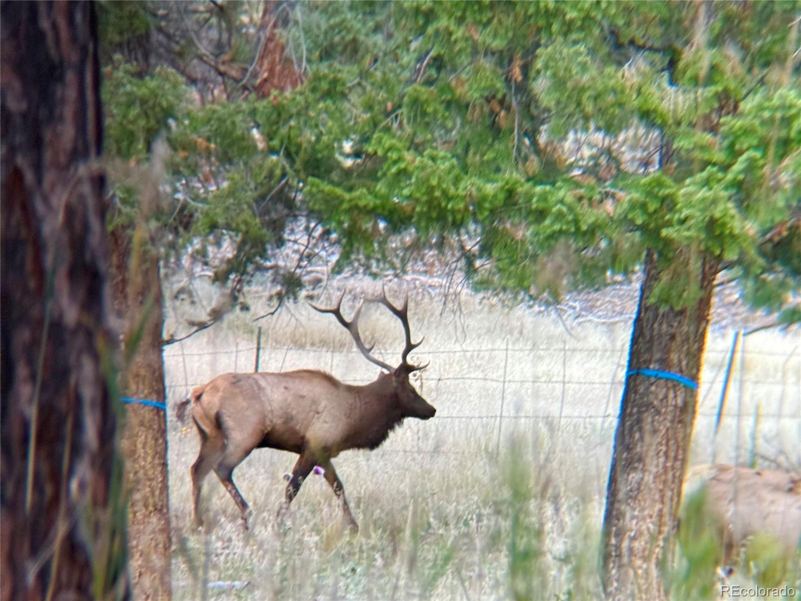 MLS Image #9 for 12414 s us hwy 285 ,conifer, Colorado