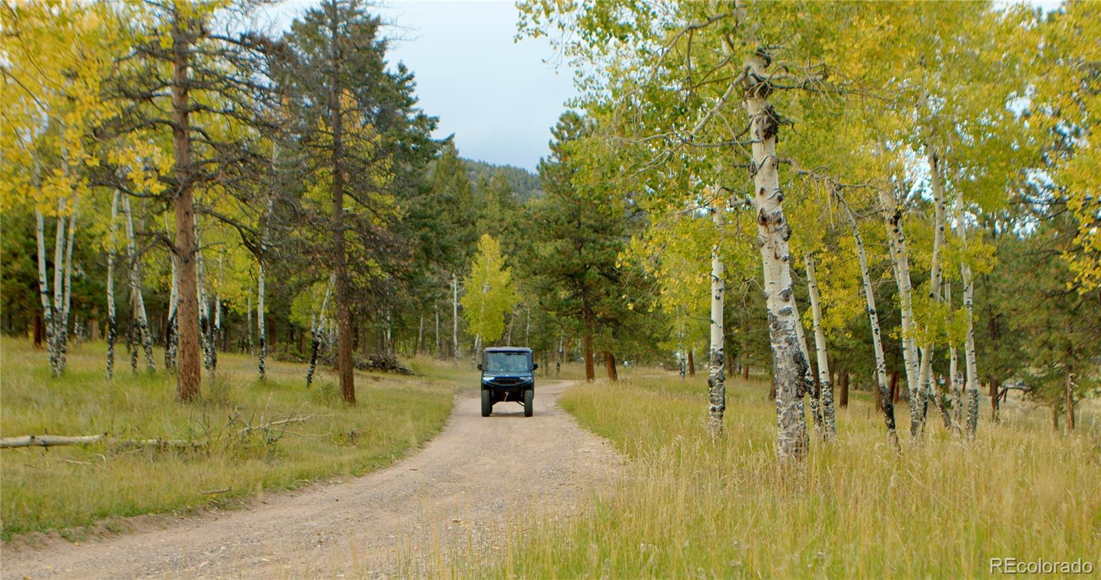 MLS Image #12 for 12464 s us hwy 285 ,conifer, Colorado