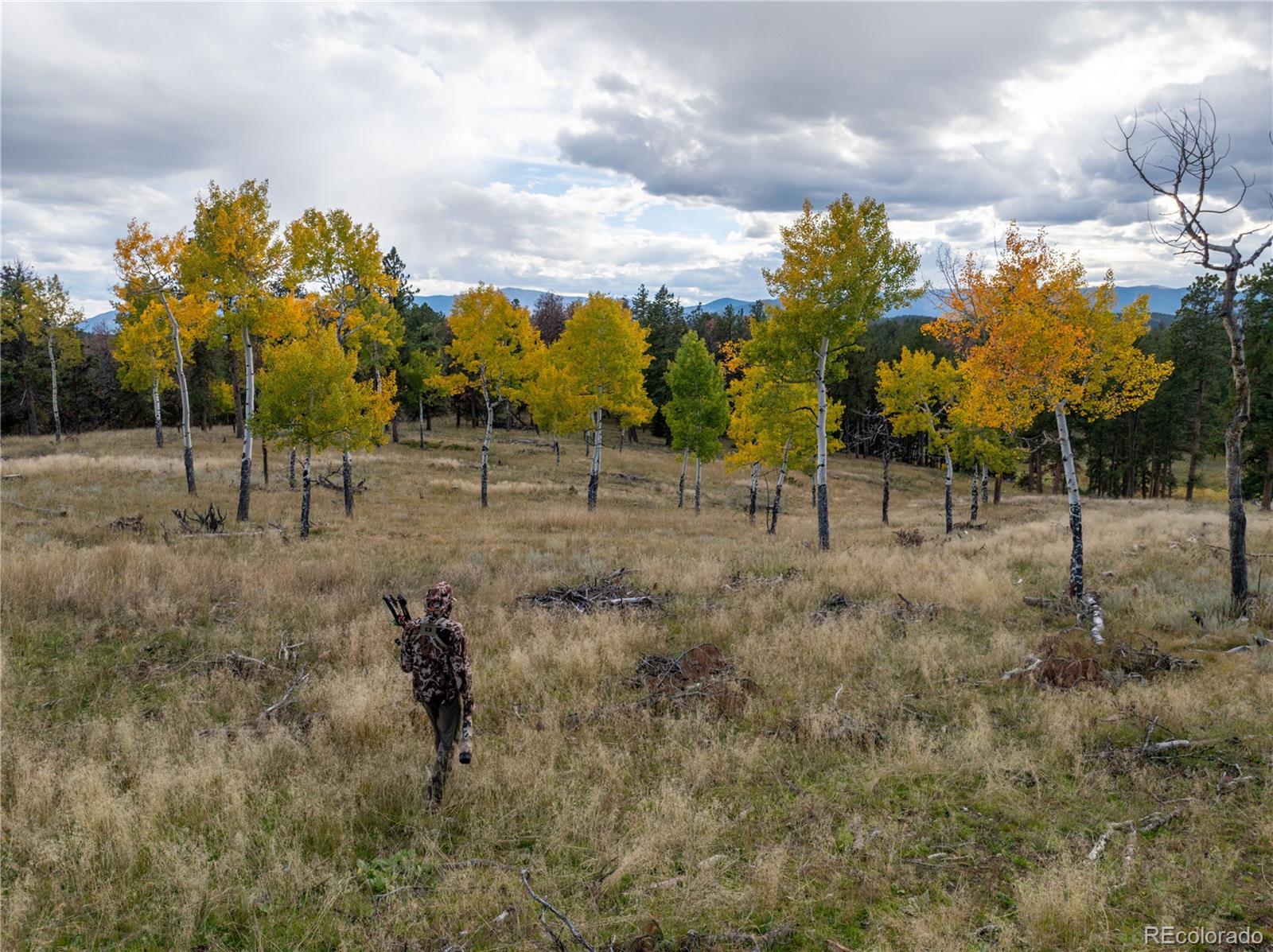 MLS Image #28 for 12464 s us hwy 285 ,conifer, Colorado