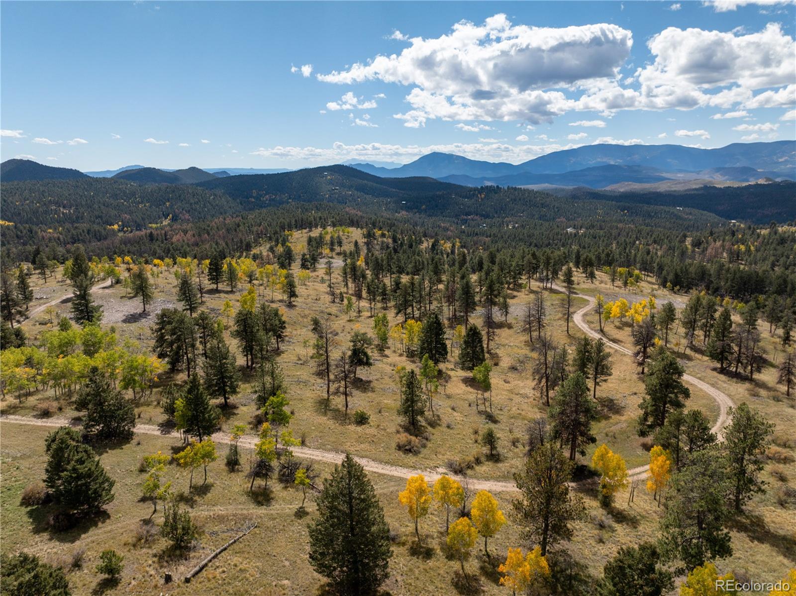 MLS Image #3 for 12464 s us hwy 285 ,conifer, Colorado