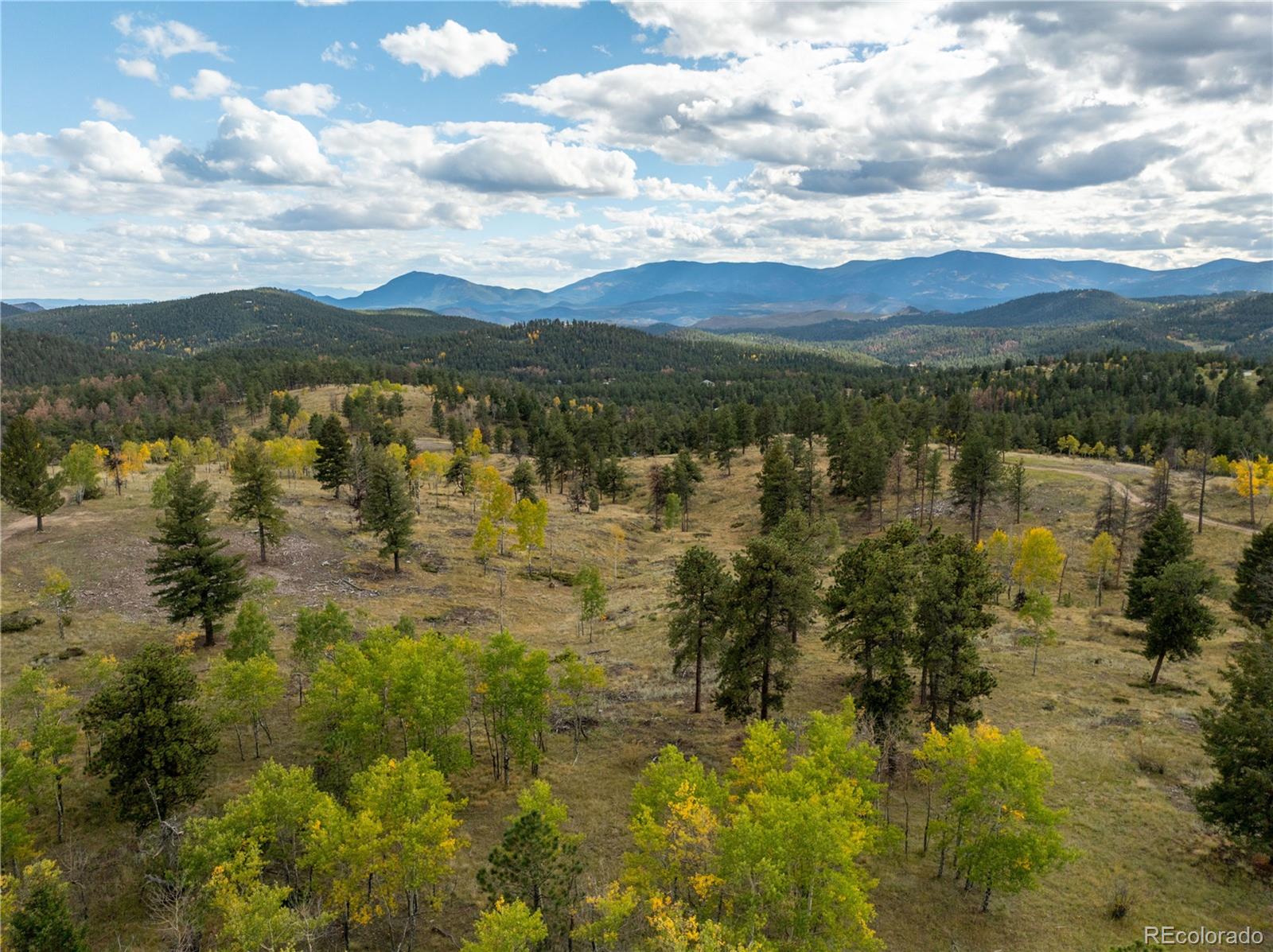 MLS Image #8 for 12464 s us hwy 285 ,conifer, Colorado