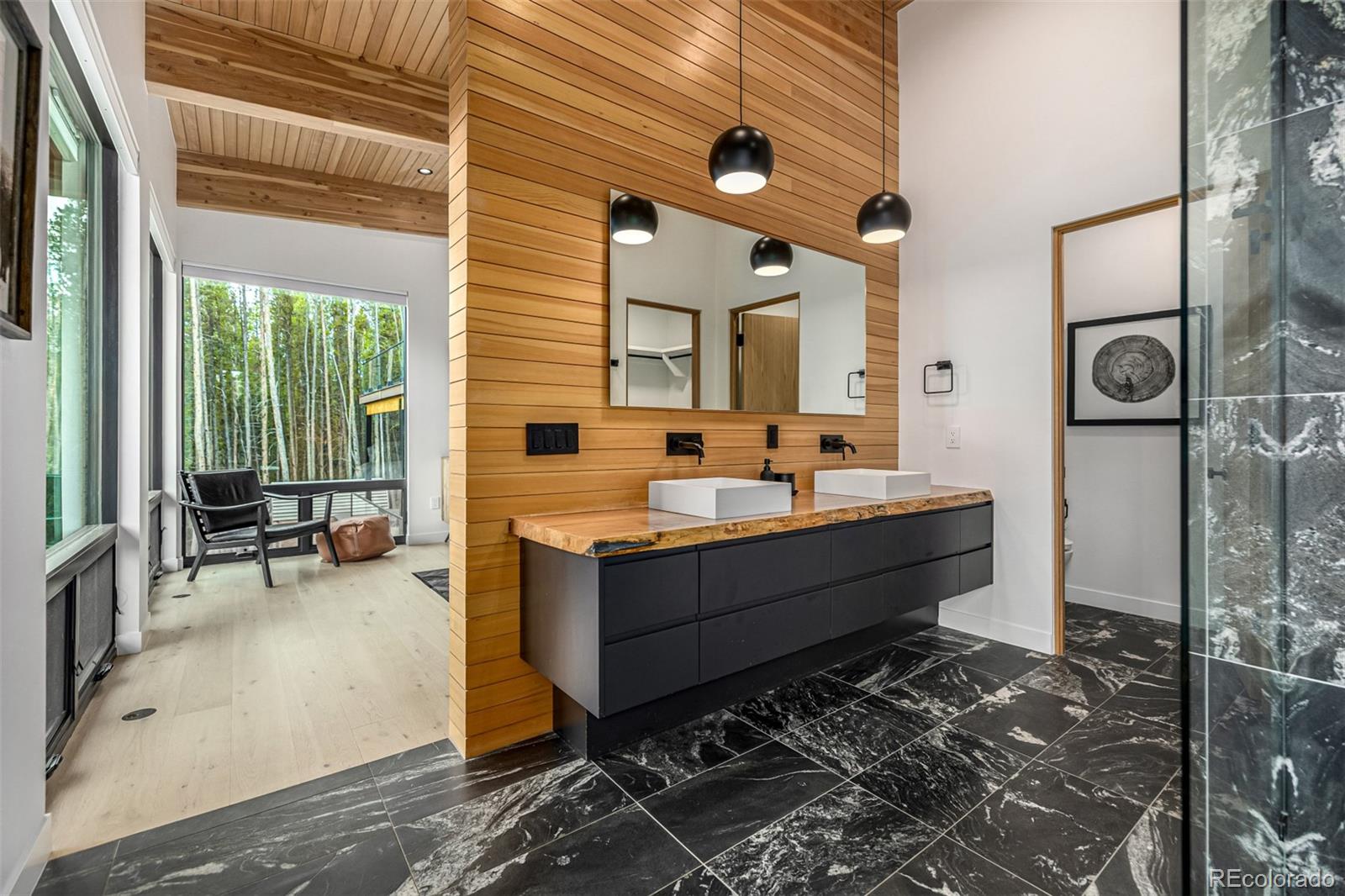 MLS Image #17 for 735  gold king way,breckenridge, Colorado