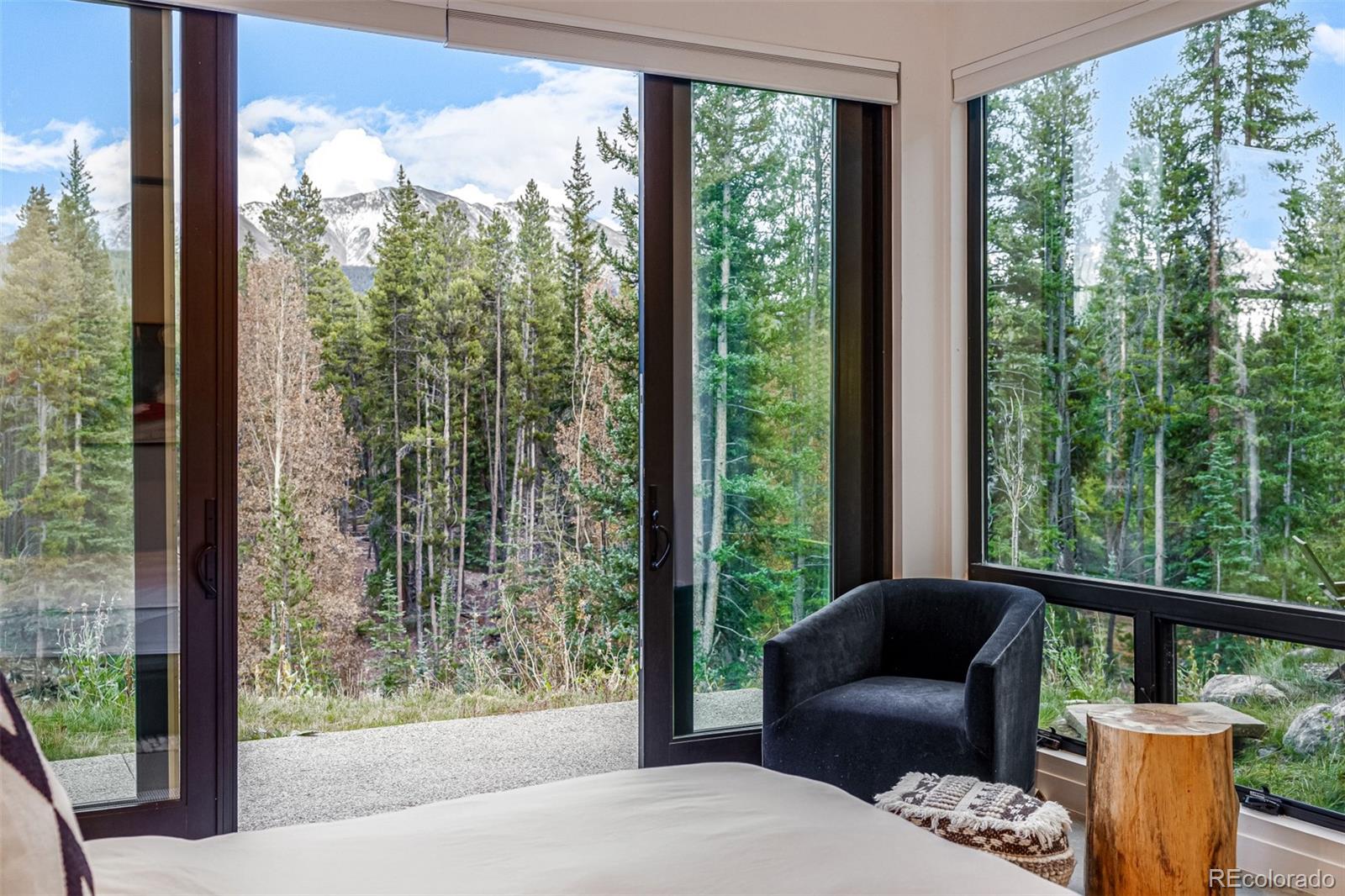 MLS Image #20 for 735  gold king way,breckenridge, Colorado