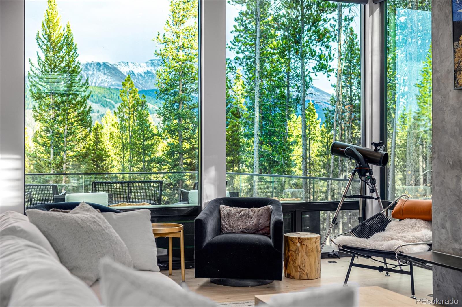 MLS Image #3 for 735  gold king way,breckenridge, Colorado