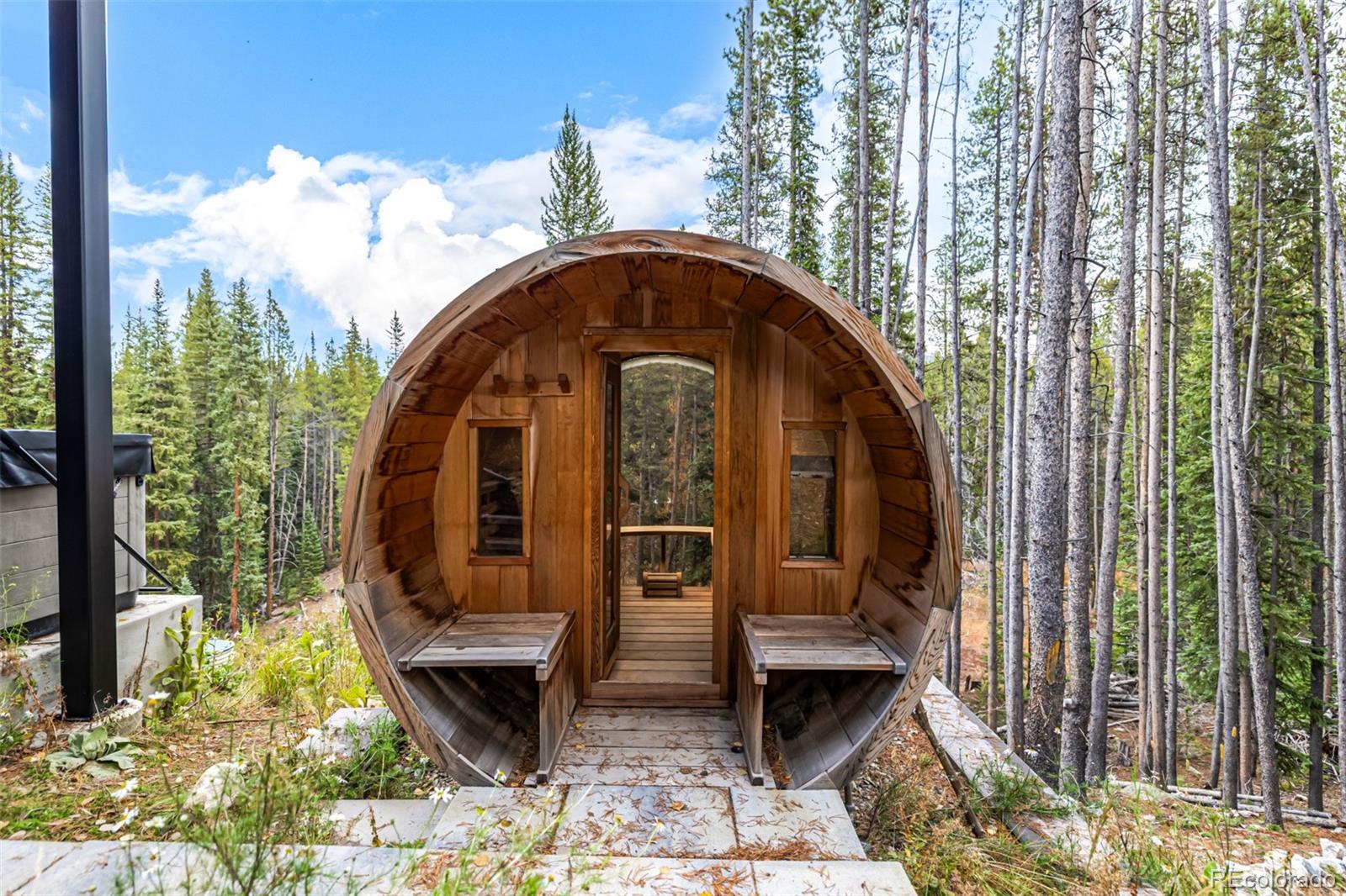 MLS Image #32 for 735  gold king way,breckenridge, Colorado