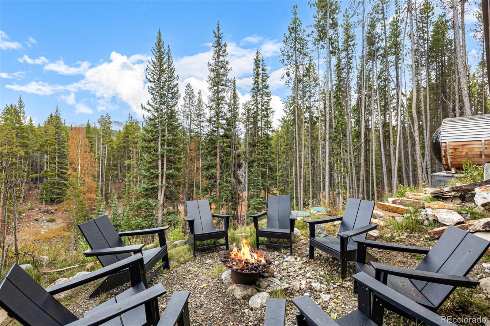 MLS Image #46 for 735  gold king way,breckenridge, Colorado