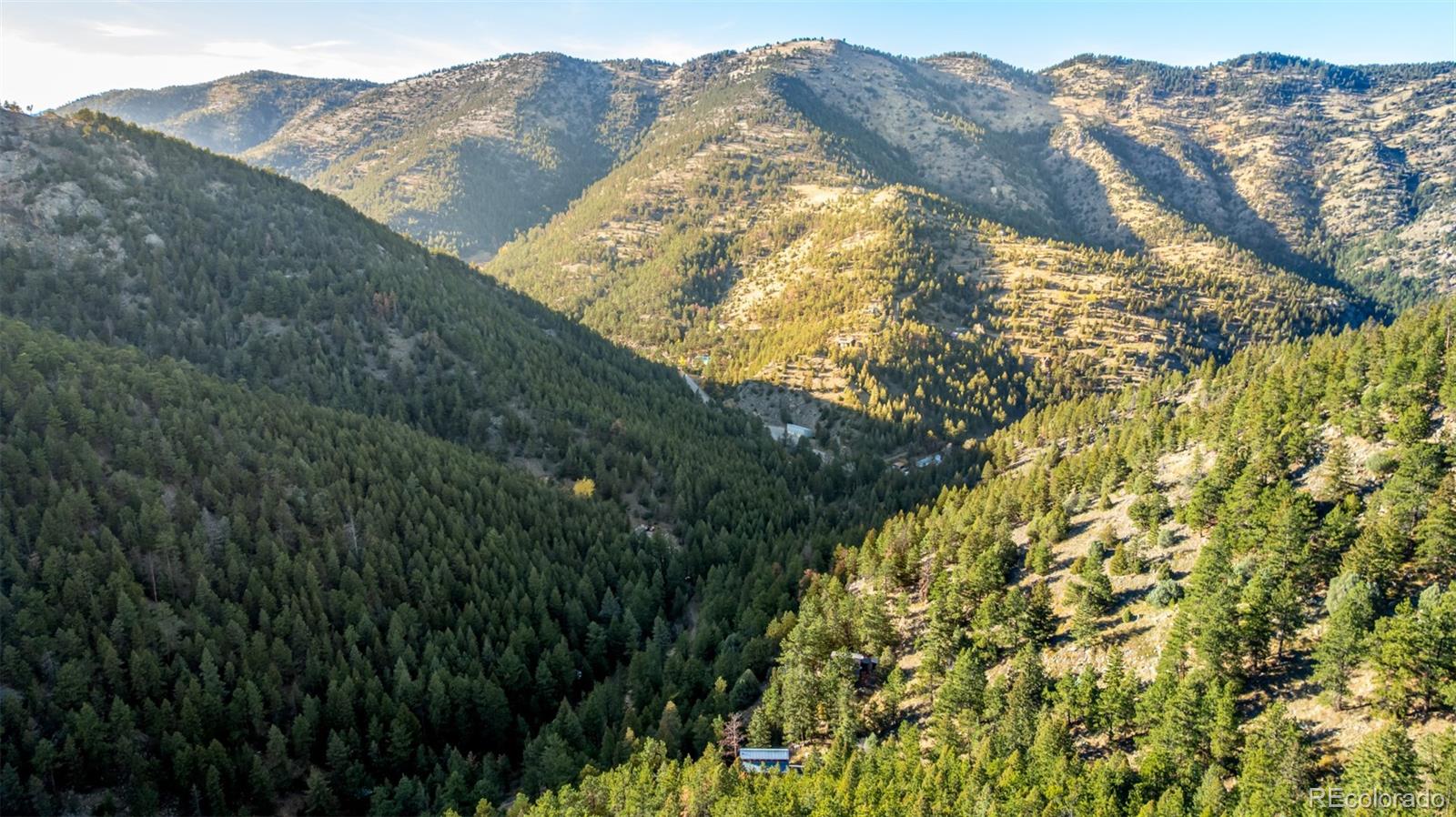 MLS Image #5 for 397  glendale gulch road,jamestown, Colorado