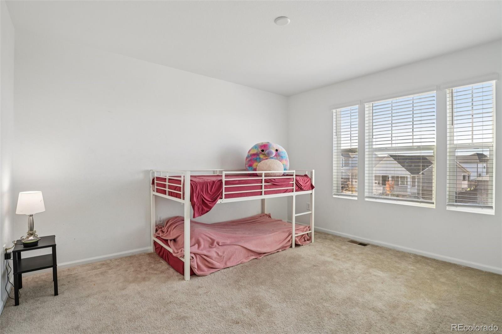 MLS Image #20 for 2877  shikra place,brighton, Colorado