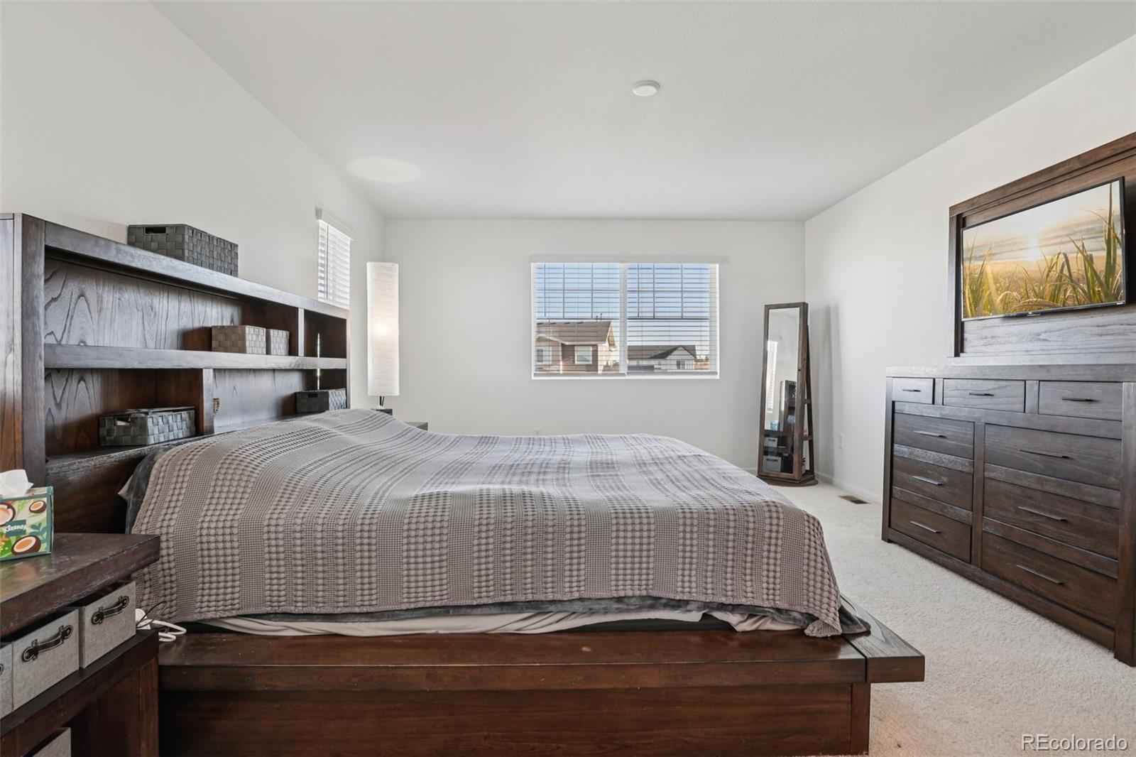 MLS Image #29 for 2877  shikra place,brighton, Colorado