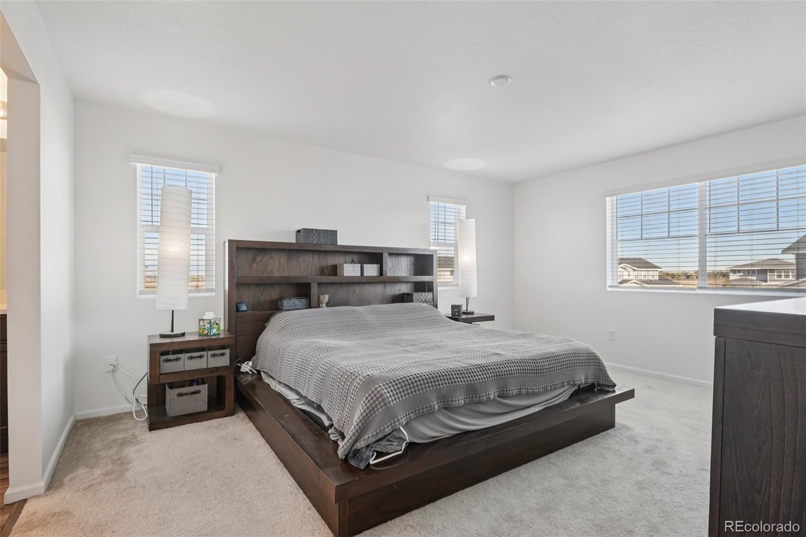 MLS Image #31 for 2877  shikra place,brighton, Colorado