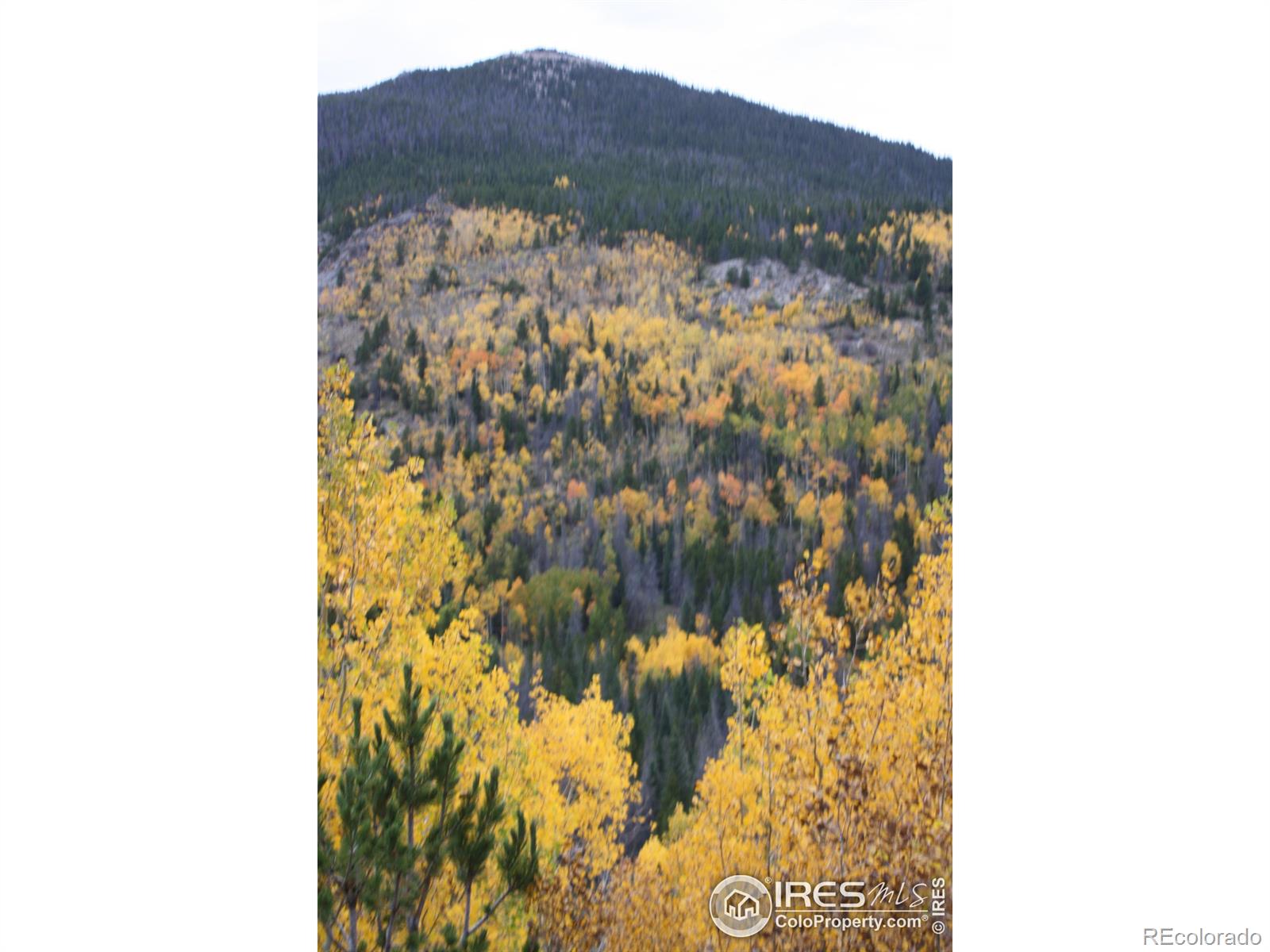 MLS Image #22 for 1565  highway 66 ,estes park, Colorado