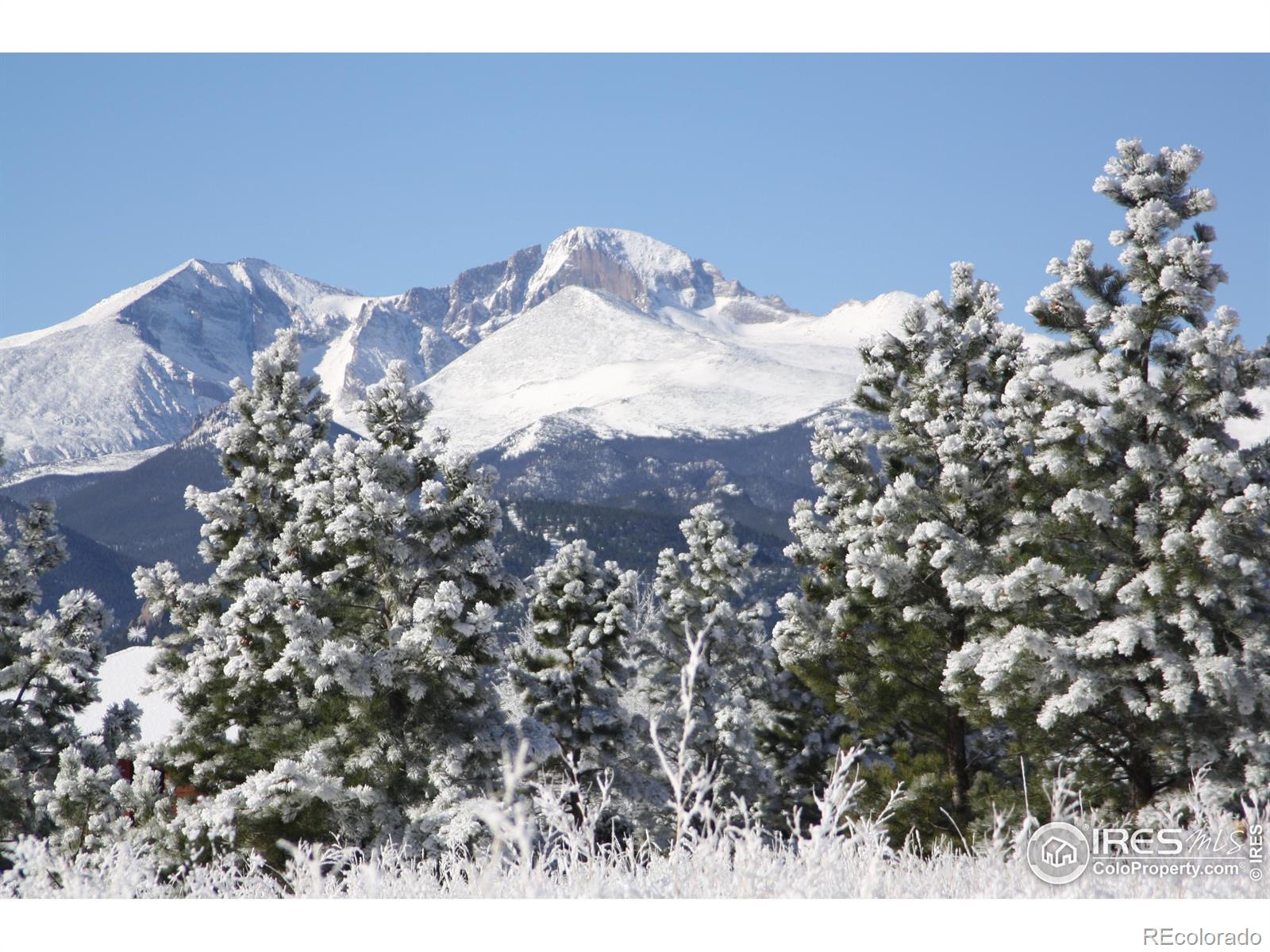 MLS Image #23 for 1565  highway 66 ,estes park, Colorado