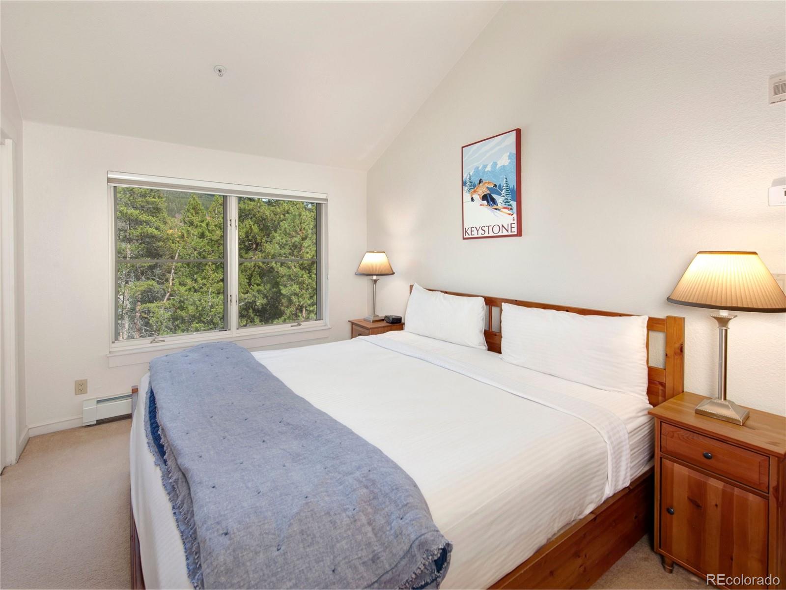 MLS Image #18 for 57  lake ridge circle,dillon, Colorado
