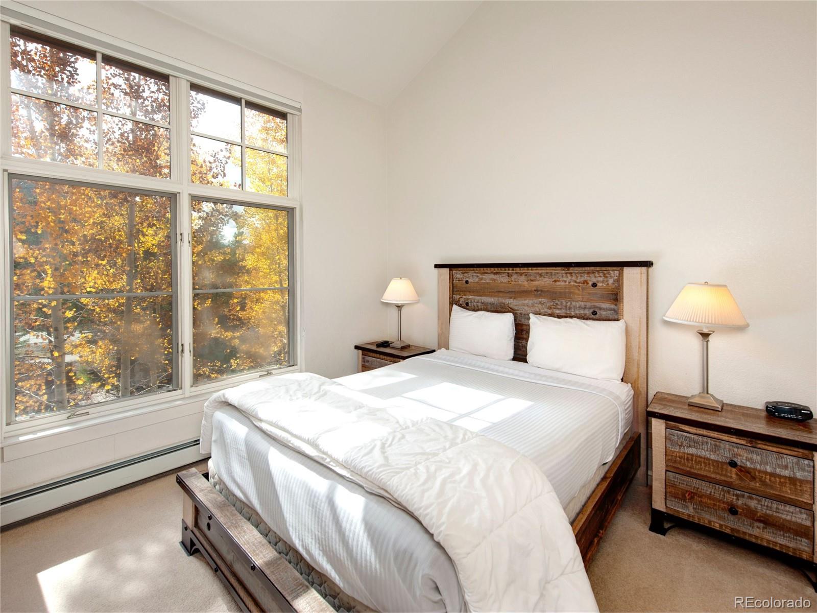 MLS Image #21 for 57  lake ridge circle,dillon, Colorado