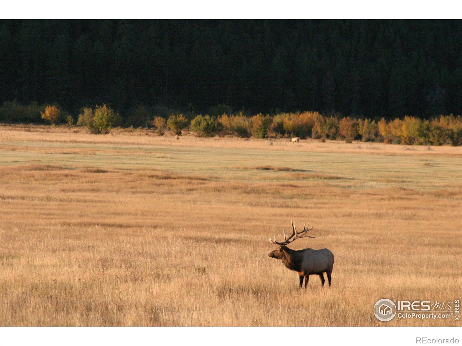 MLS Image #17 for 1565  highway 66 ,estes park, Colorado