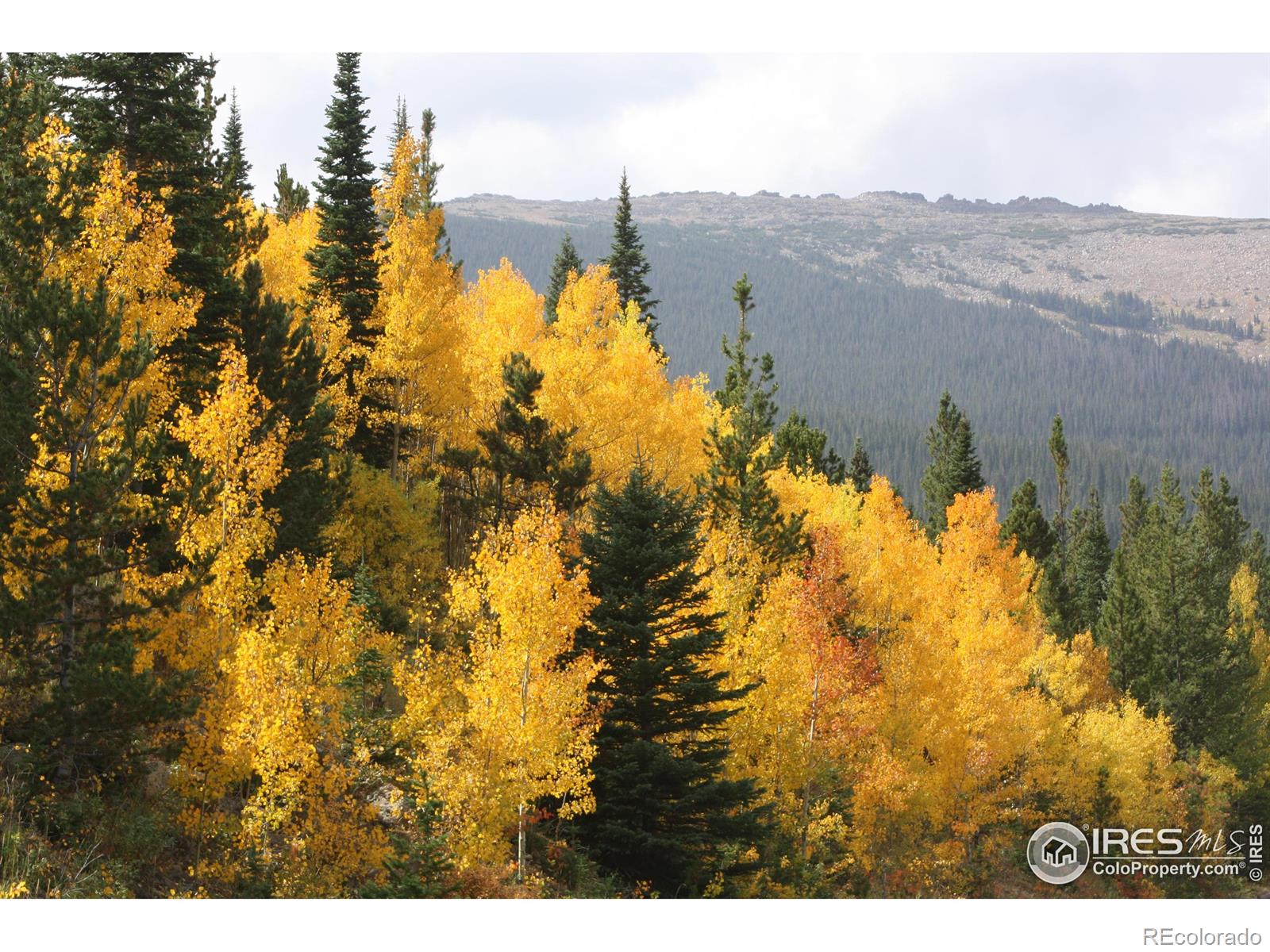MLS Image #22 for 1565  highway 66 ,estes park, Colorado