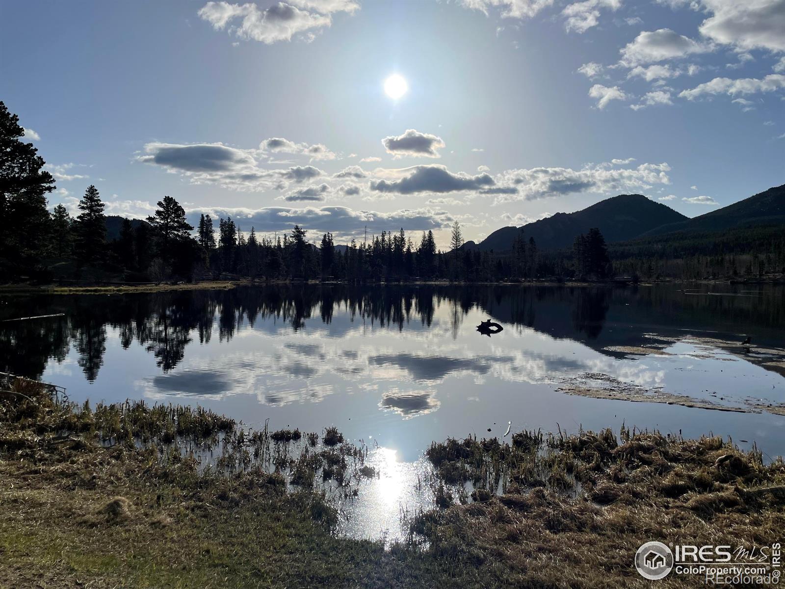 MLS Image #23 for 1565  highway 66 ,estes park, Colorado