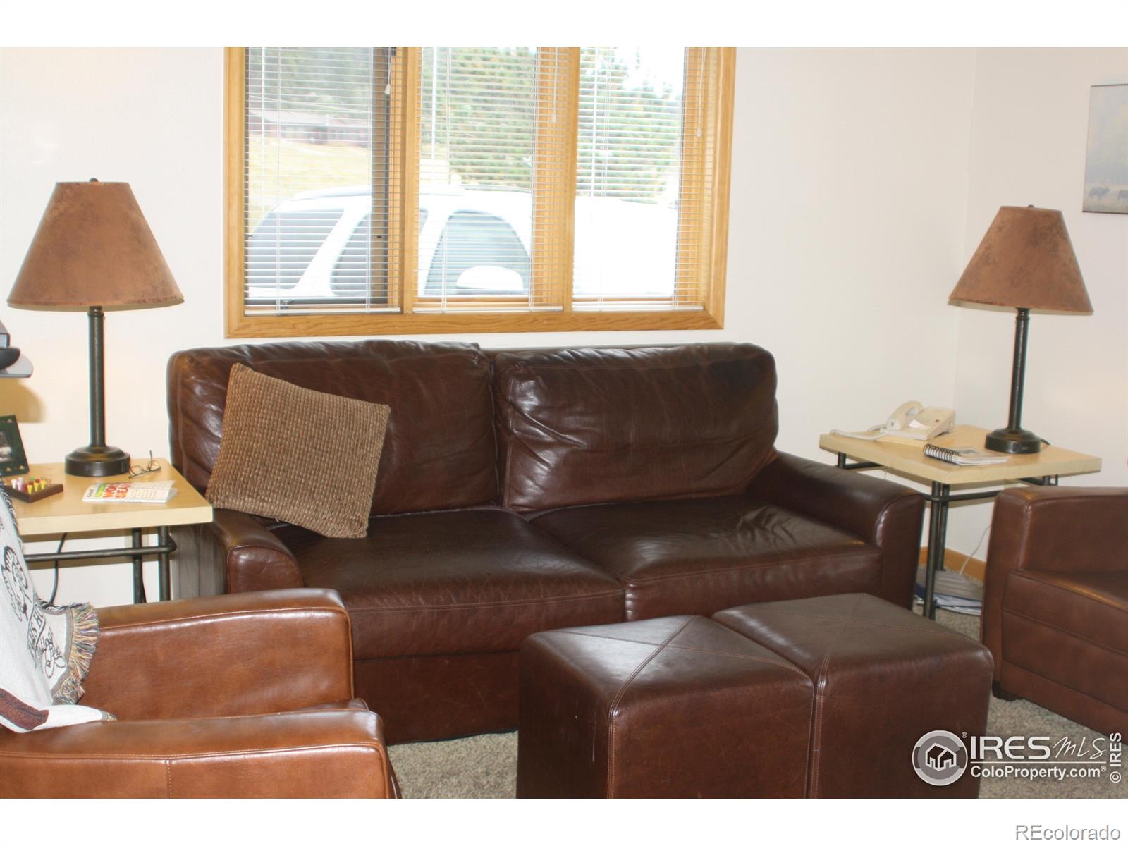 MLS Image #3 for 1565  highway 66 ,estes park, Colorado