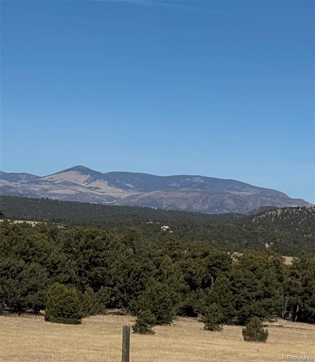 MLS Image #28 for 474  deer run drive,cotopaxi, Colorado