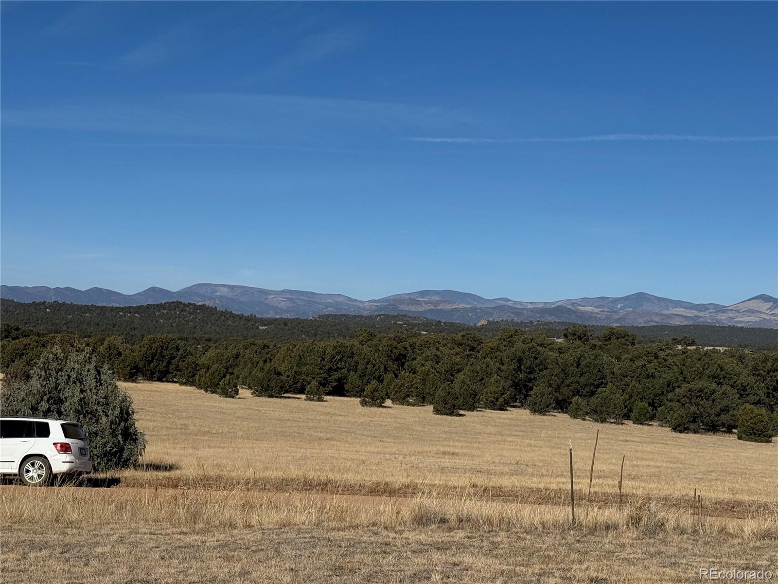 MLS Image #3 for 474  deer run drive,cotopaxi, Colorado