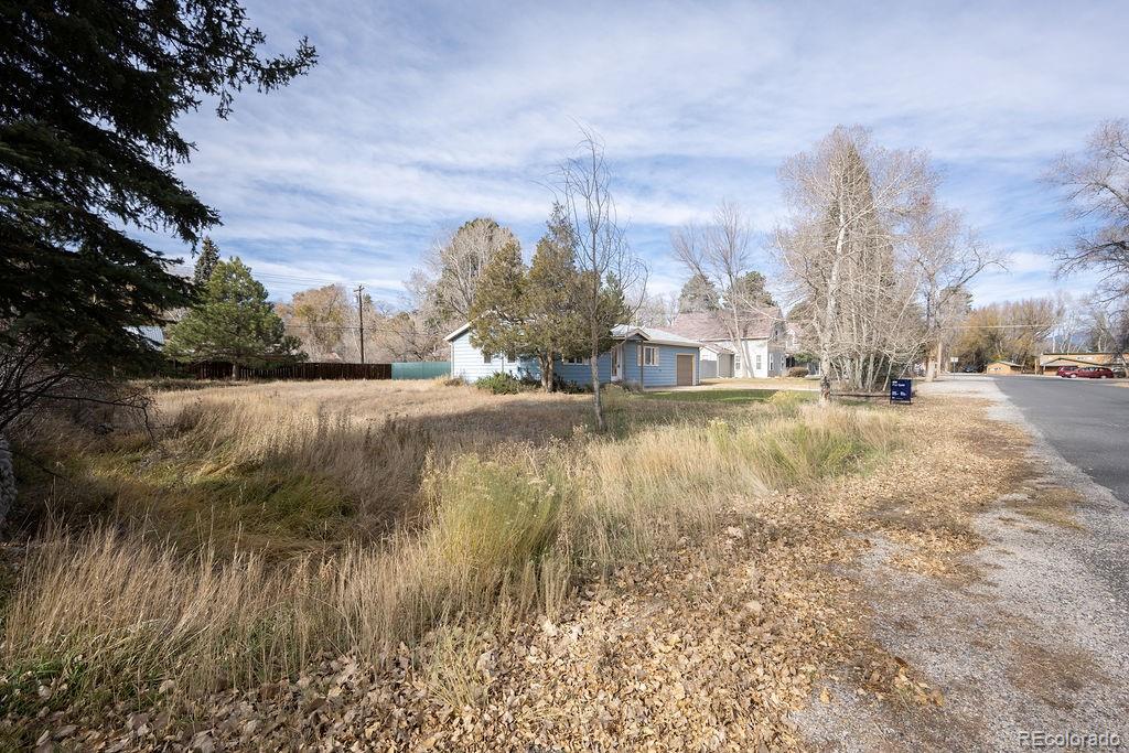 MLS Image #45 for 212 n gunnison avenue,buena vista, Colorado