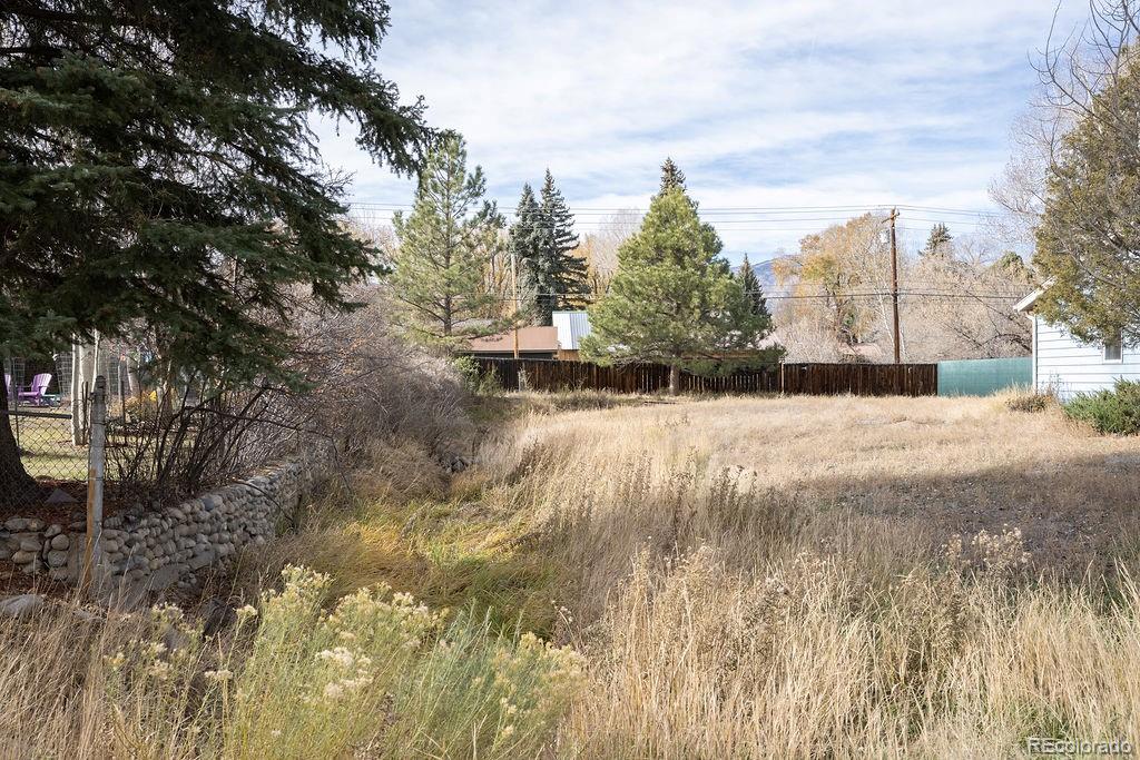 MLS Image #46 for 212 n gunnison avenue,buena vista, Colorado