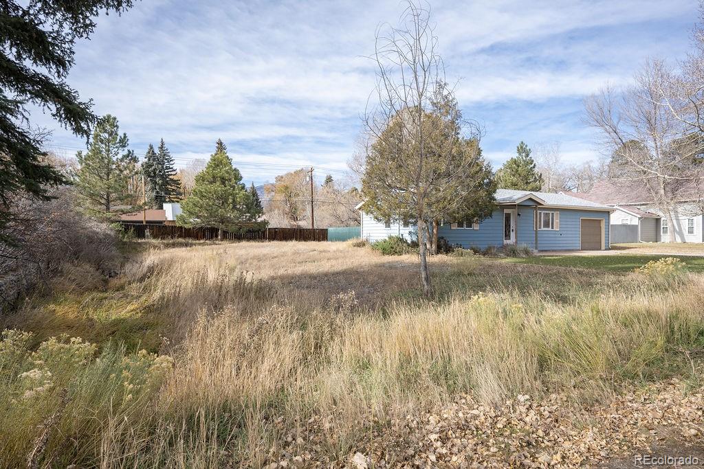 MLS Image #47 for 212 n gunnison avenue,buena vista, Colorado