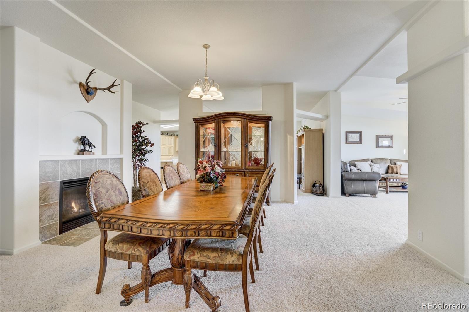 MLS Image #14 for 688  tiara road,lake george, Colorado