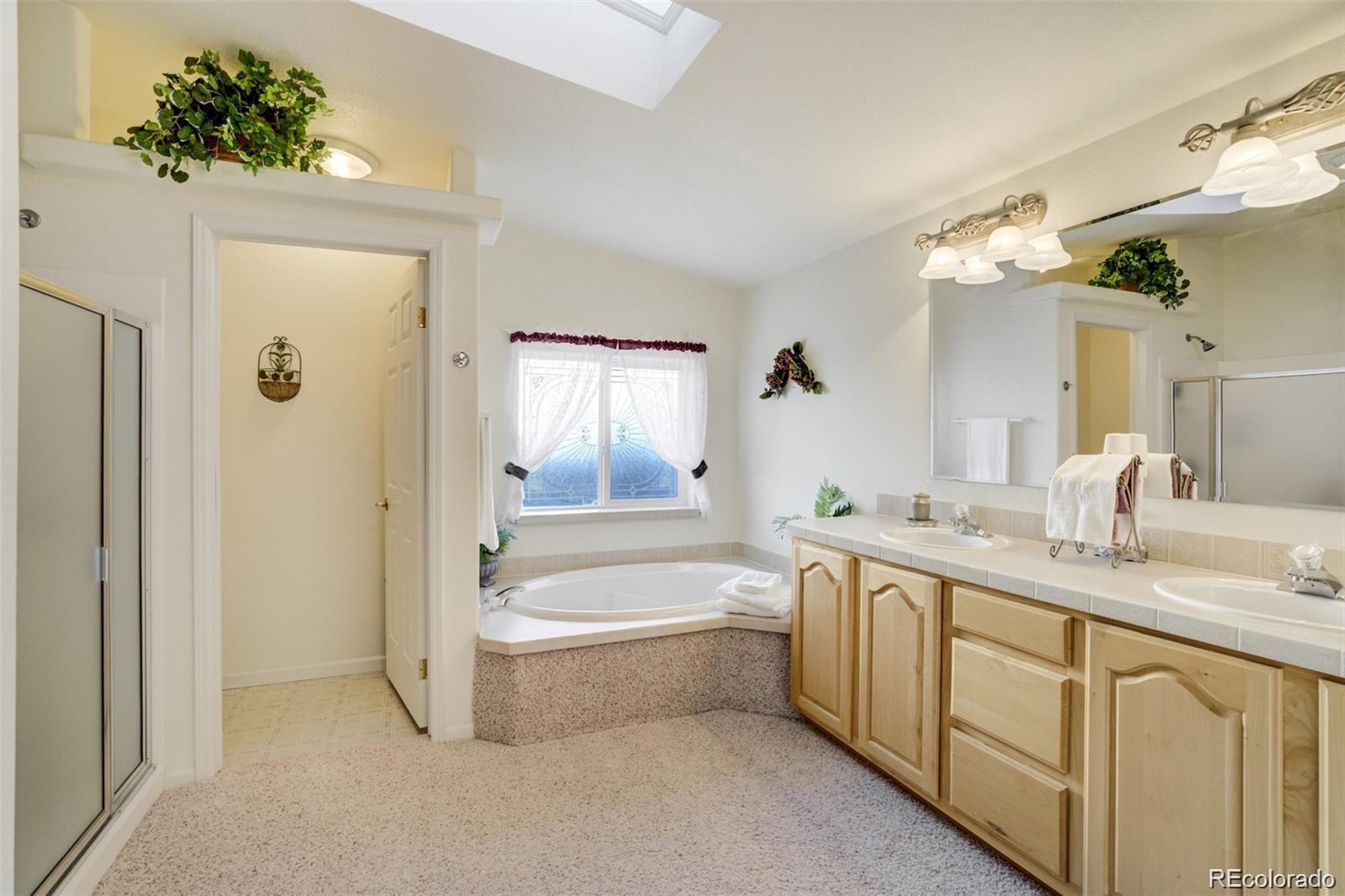 MLS Image #17 for 688  tiara road,lake george, Colorado