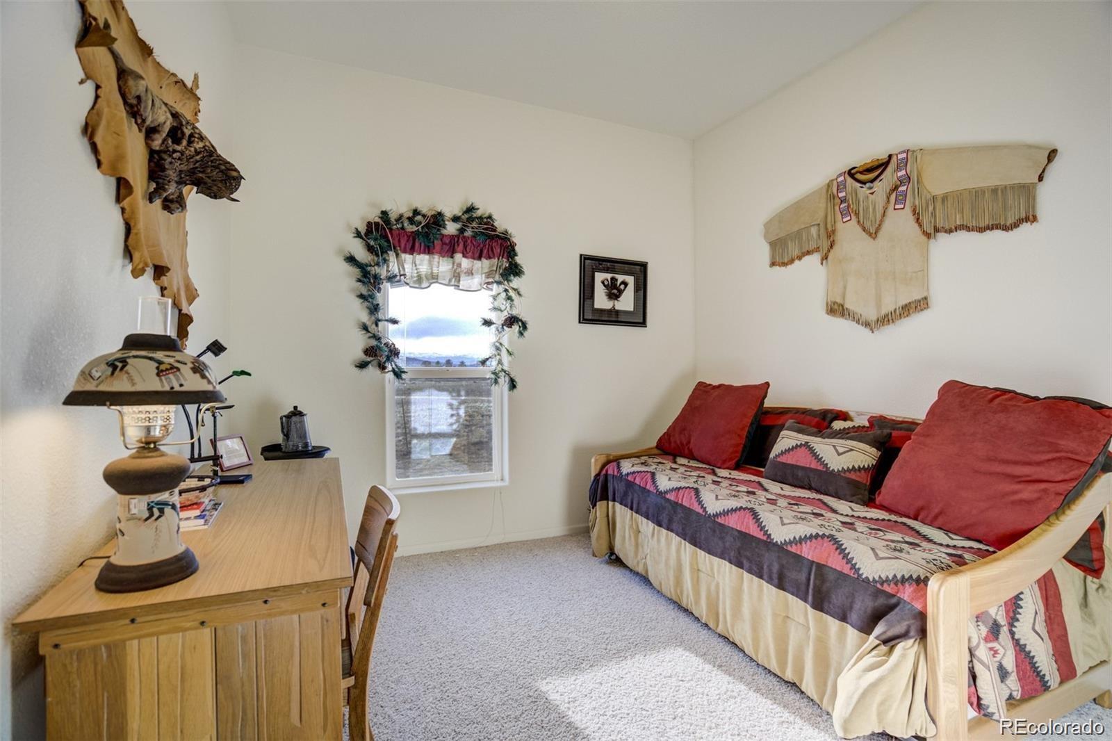 MLS Image #21 for 688  tiara road,lake george, Colorado