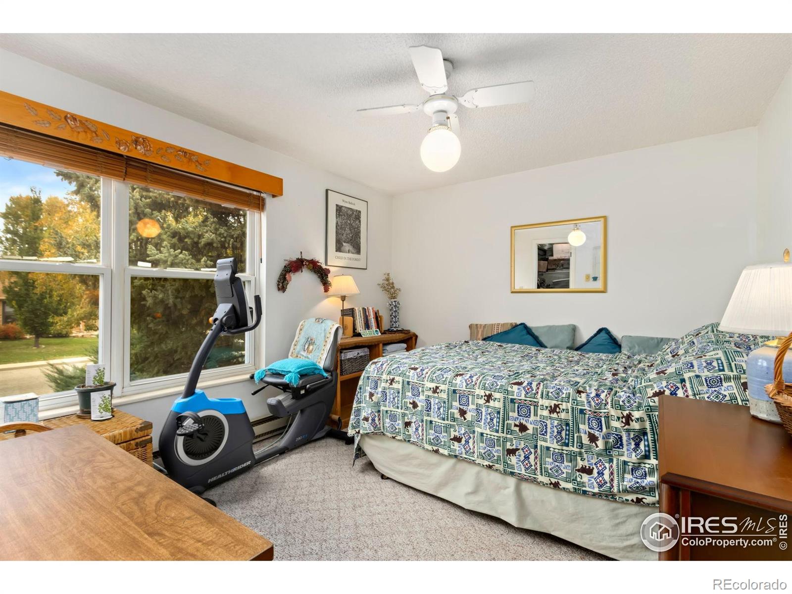 MLS Image #10 for 204 e 50th street,loveland, Colorado