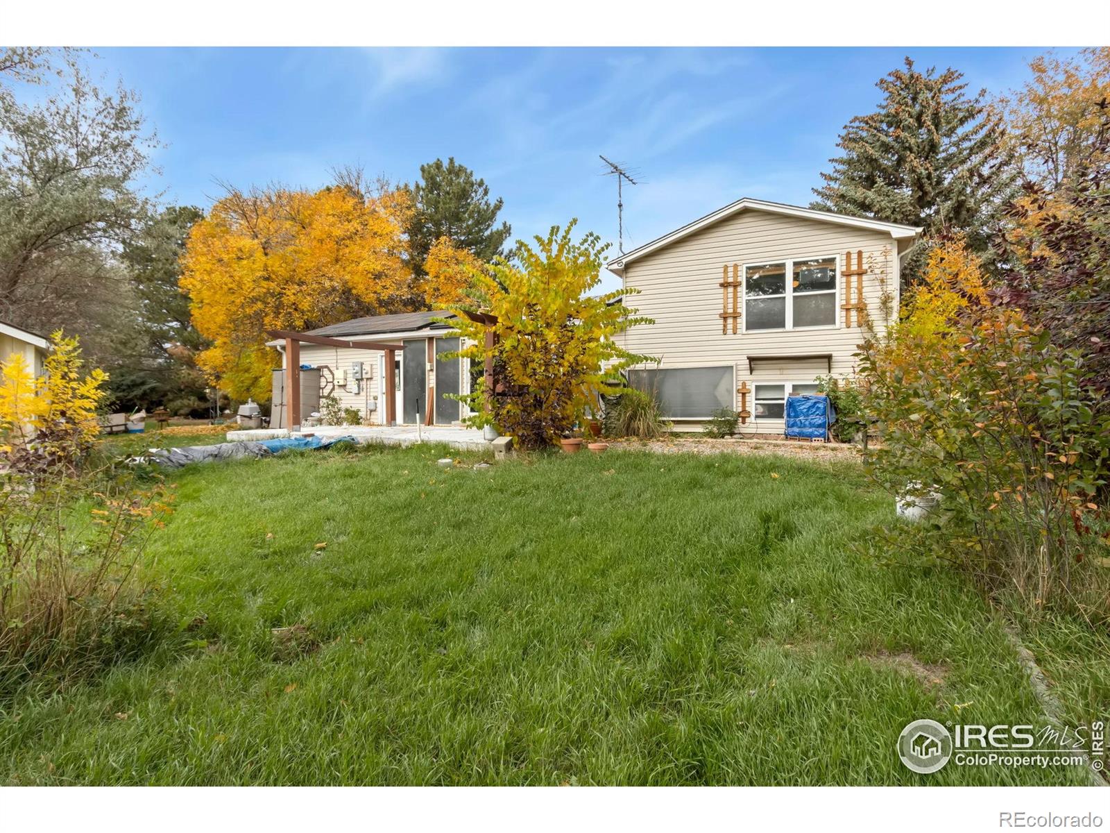 MLS Image #20 for 204 e 50th street,loveland, Colorado
