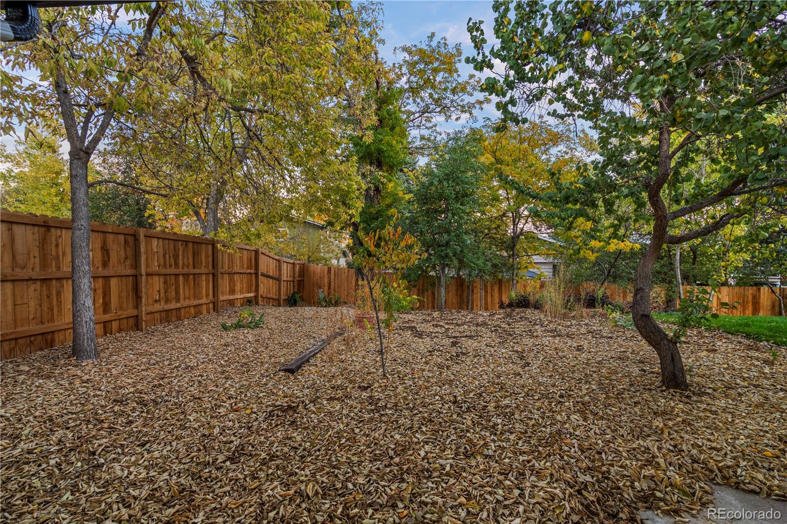 MLS Image #39 for 884 s lewis street,lakewood, Colorado