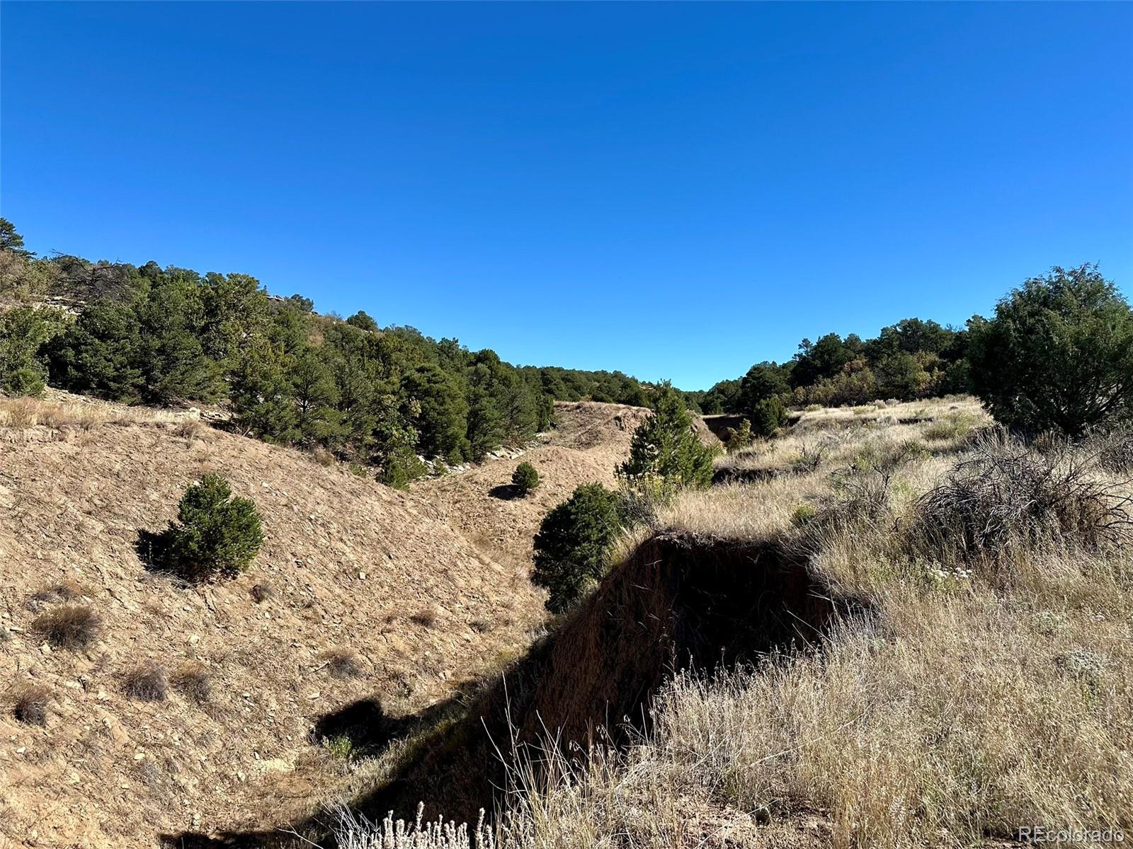 MLS Image #33 for 205  hoofprint court,walsenburg, Colorado