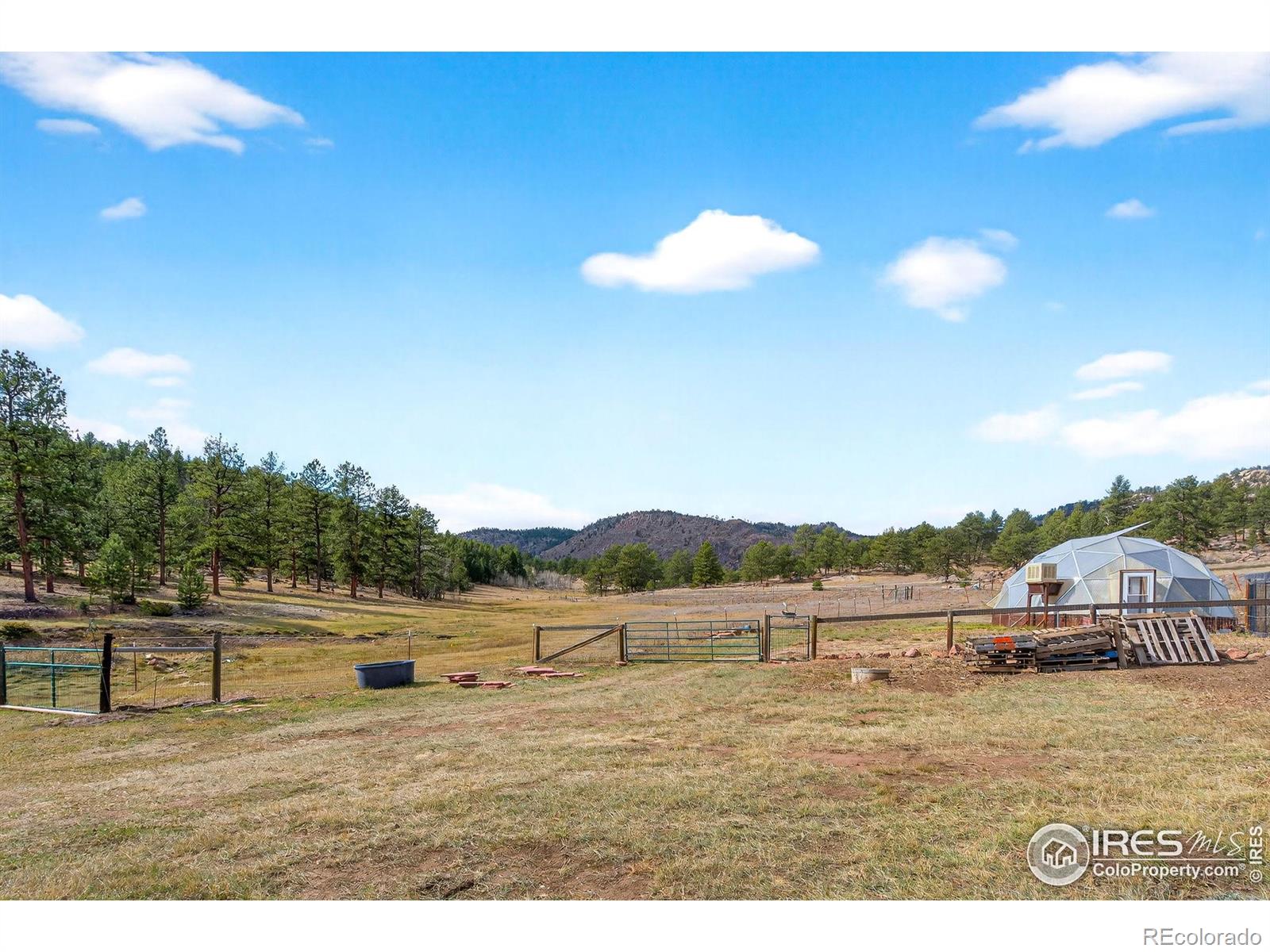 MLS Image #22 for 2848  slater creek road,florissant, Colorado