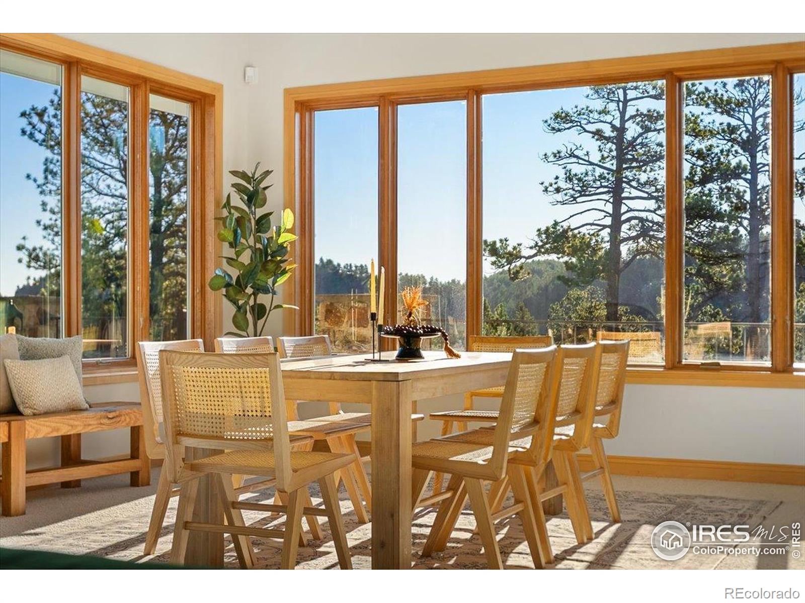 MLS Image #22 for 20682  falcon wing road,indian hills, Colorado