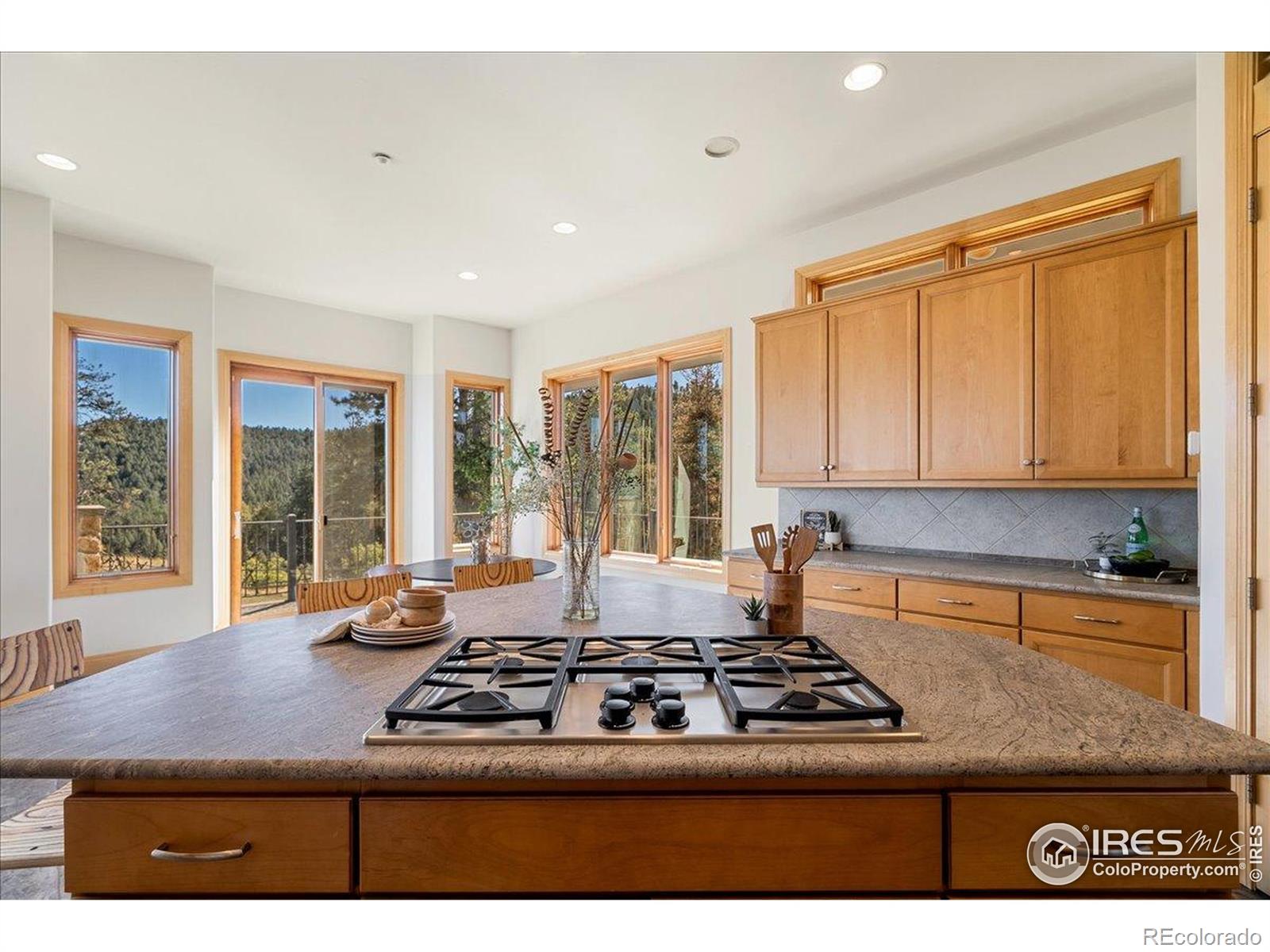 MLS Image #27 for 20682  falcon wing road,indian hills, Colorado