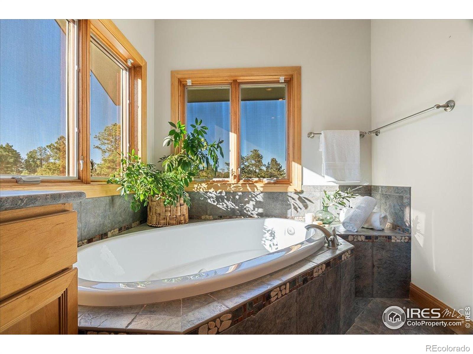 MLS Image #31 for 20682  falcon wing road,indian hills, Colorado