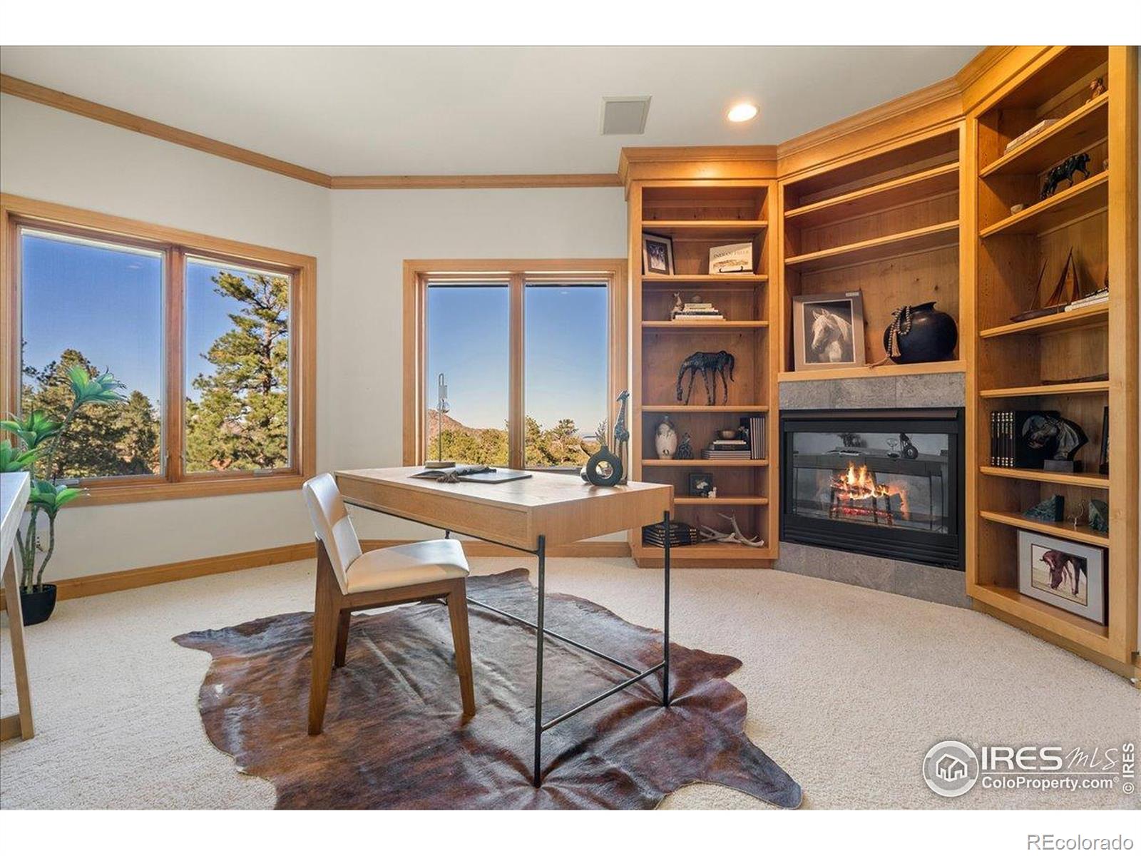 MLS Image #34 for 20682  falcon wing road,indian hills, Colorado