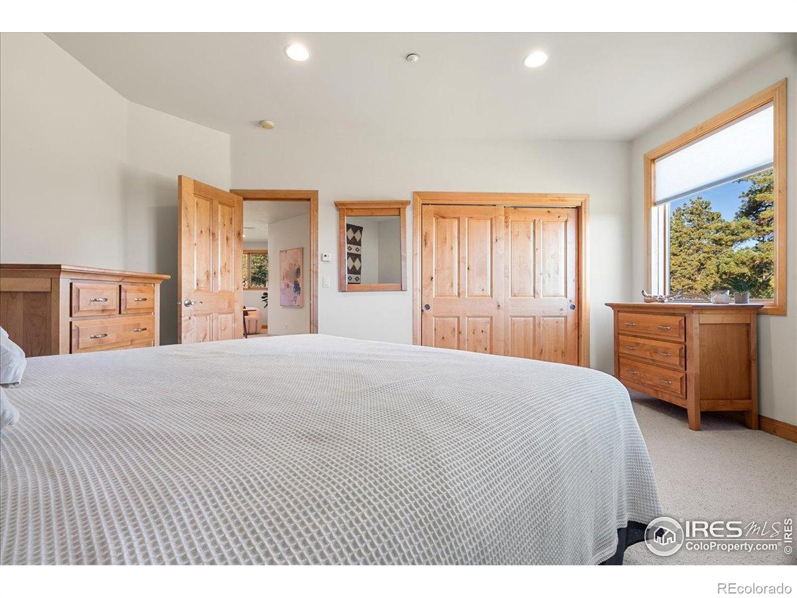 MLS Image #38 for 20682  falcon wing road,indian hills, Colorado