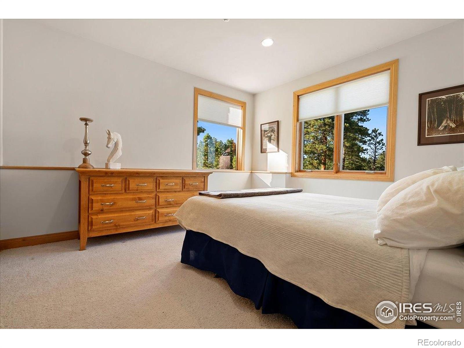 MLS Image #41 for 20682  falcon wing road,indian hills, Colorado