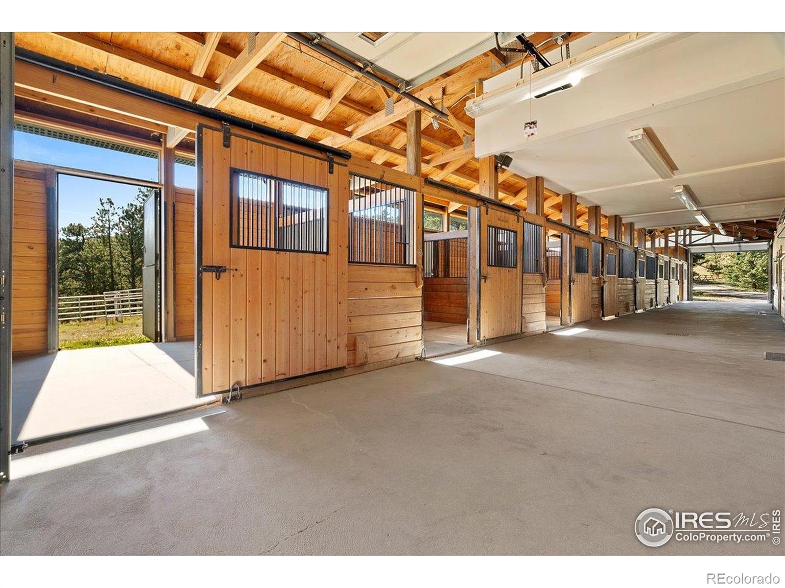 MLS Image #6 for 20682  falcon wing road,indian hills, Colorado