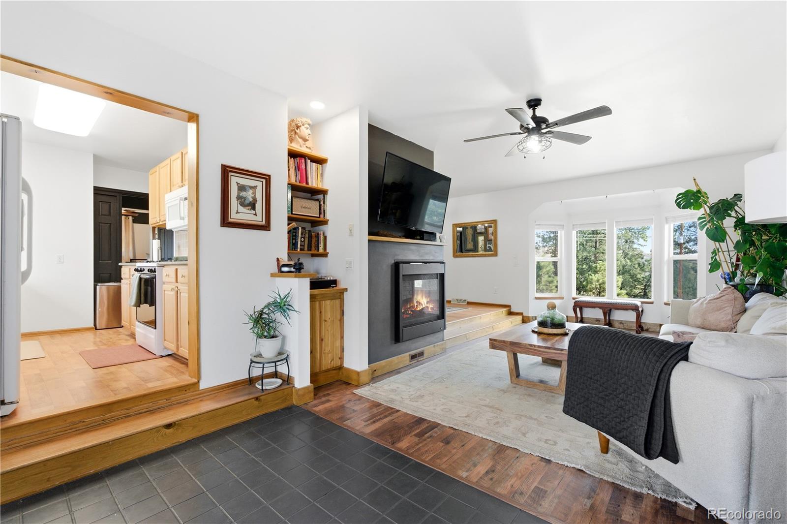MLS Image #10 for 243  hi meadow drive,bailey, Colorado
