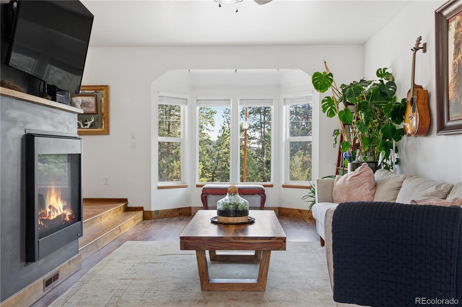MLS Image #11 for 243  hi meadow drive,bailey, Colorado