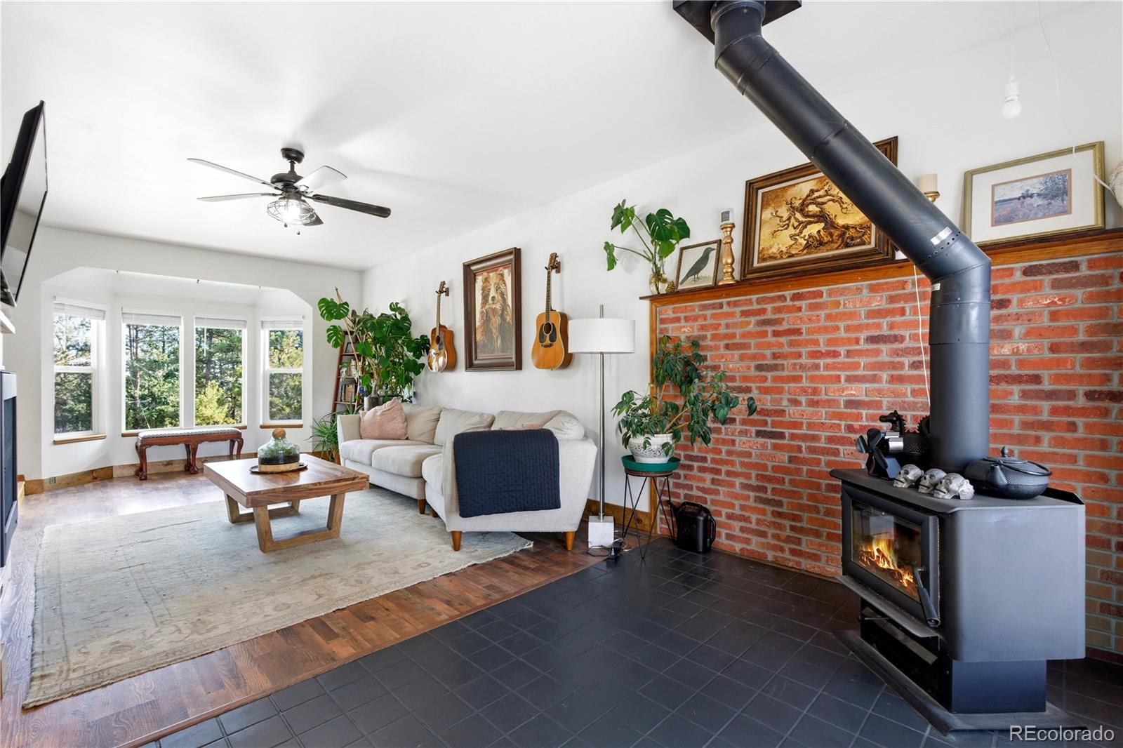 MLS Image #12 for 243  hi meadow drive,bailey, Colorado